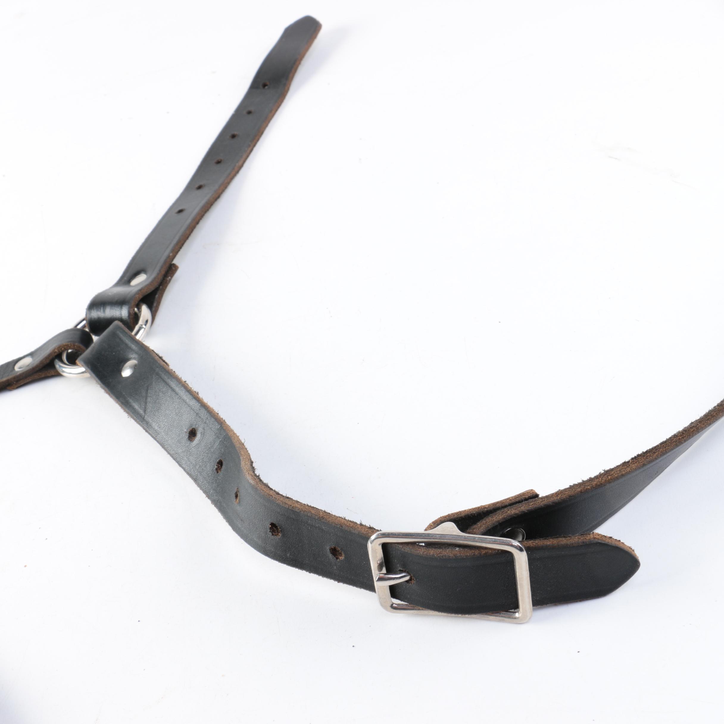 Reproduction Rapier, Dagger, and Belt with Frog Set