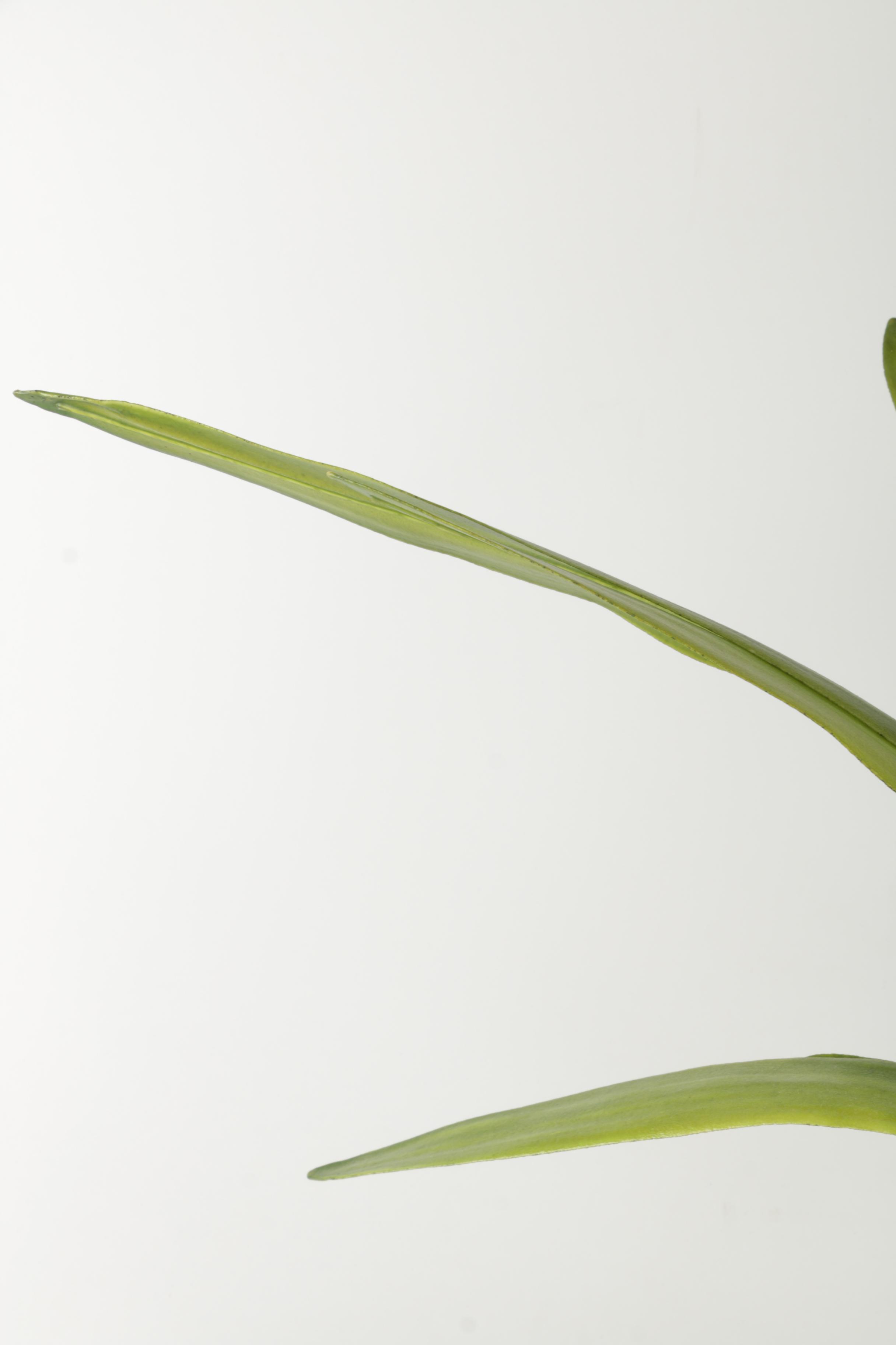 Faux Potted Amaryllis