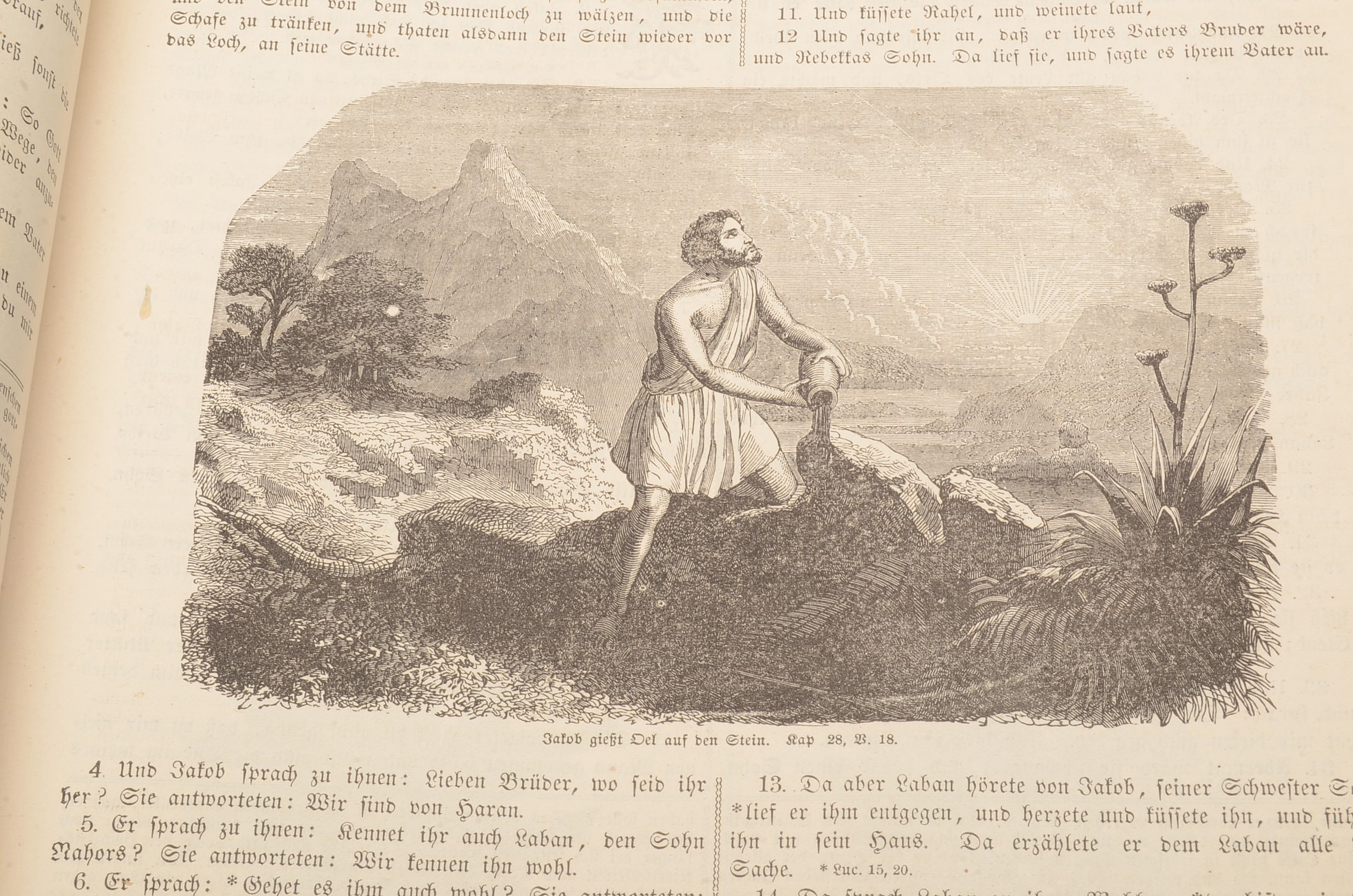 Antique German Language Bible