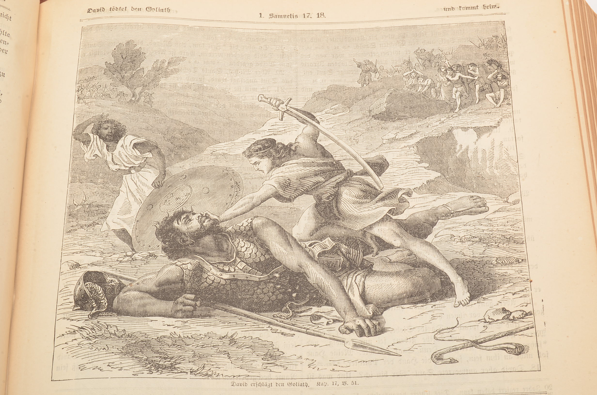 Antique German Language Bible