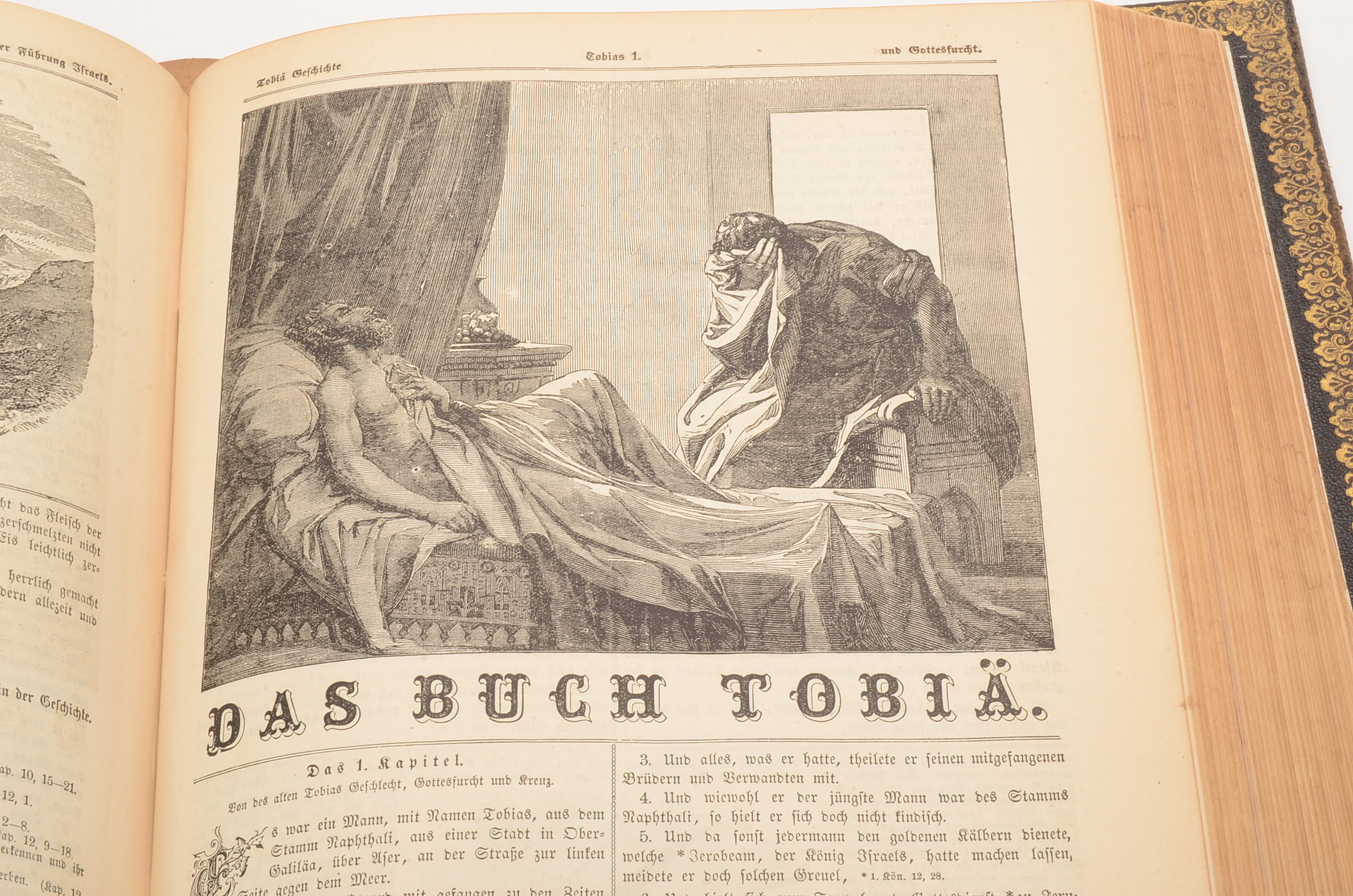 Antique German Language Bible