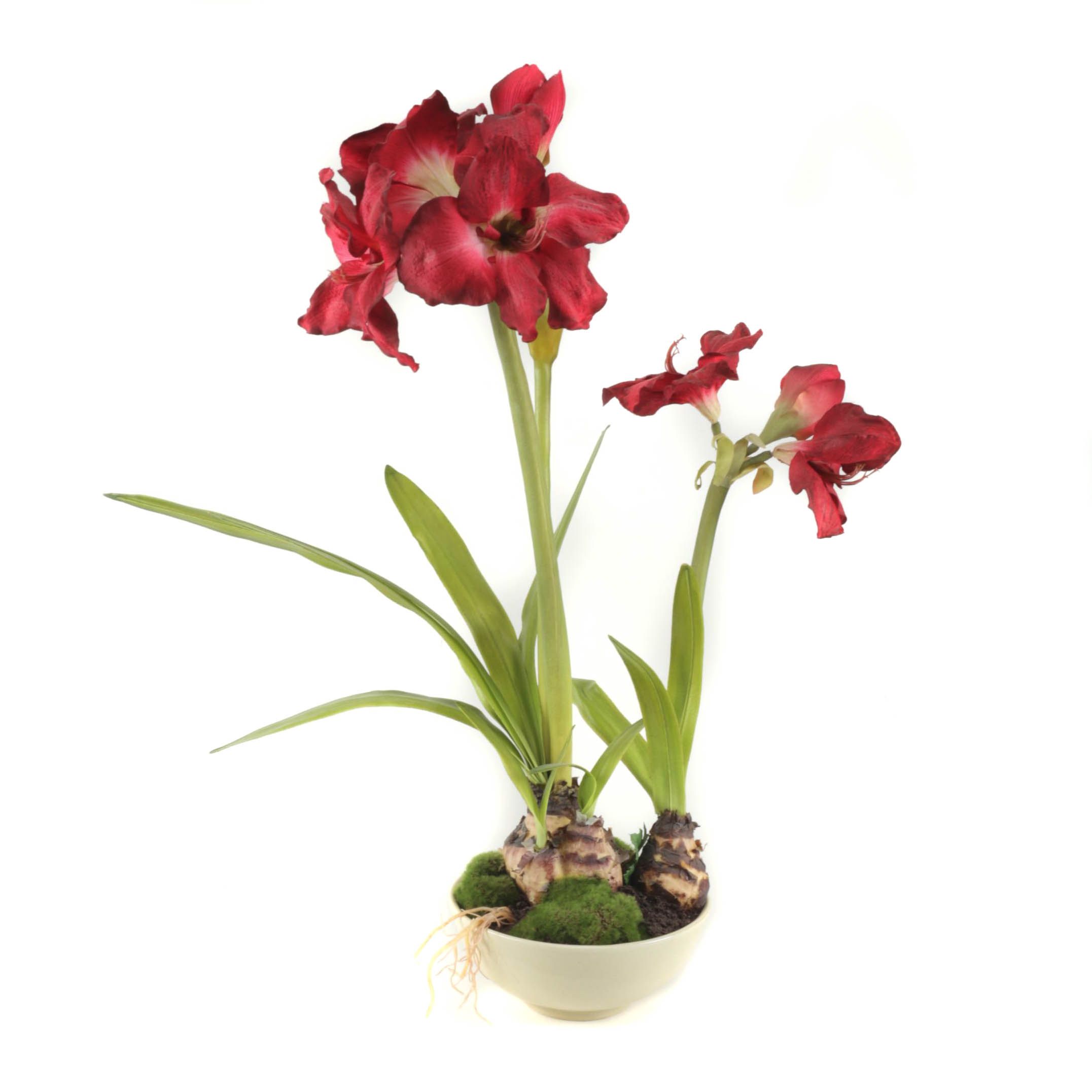 Faux Potted Amaryllis