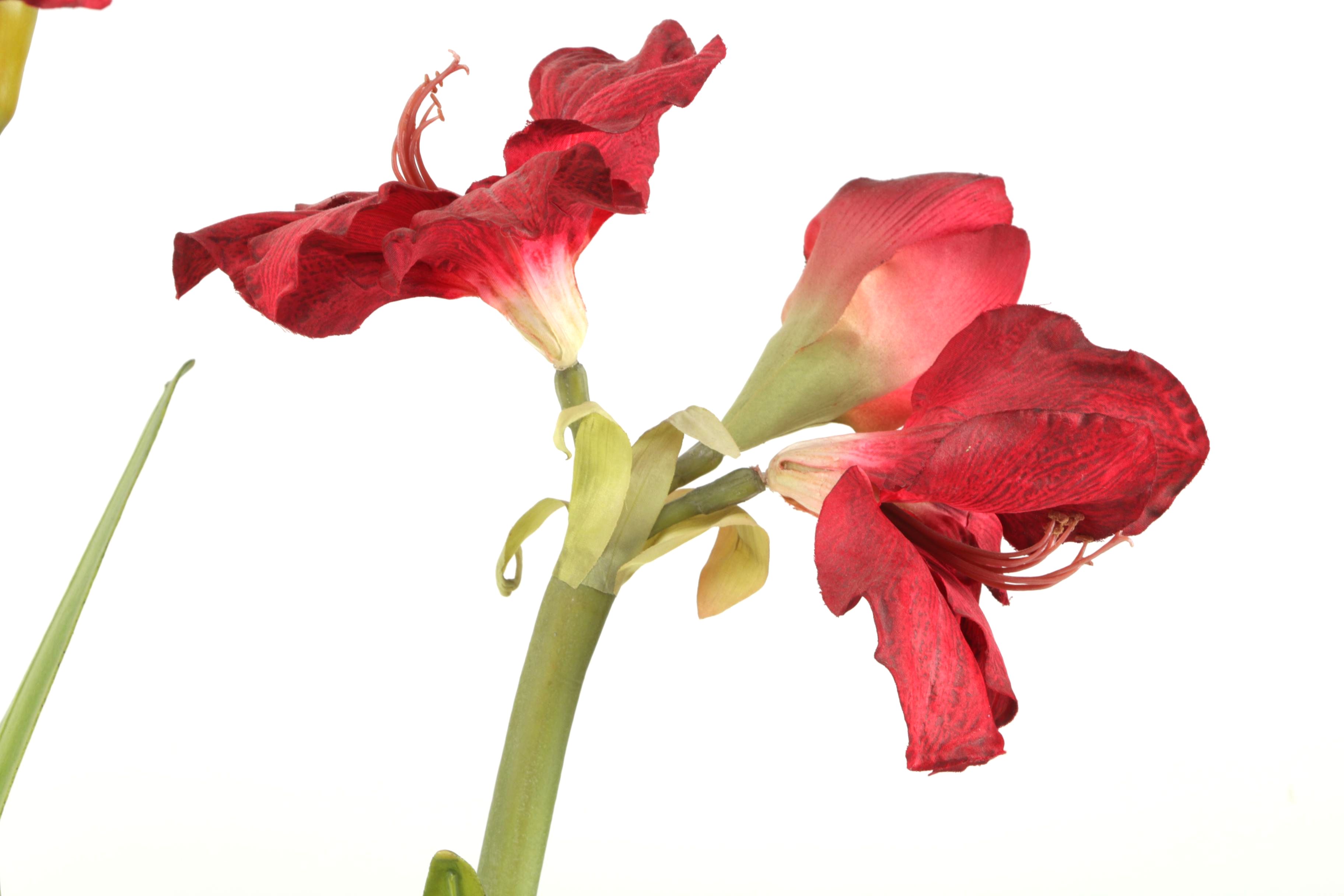 Faux Potted Amaryllis