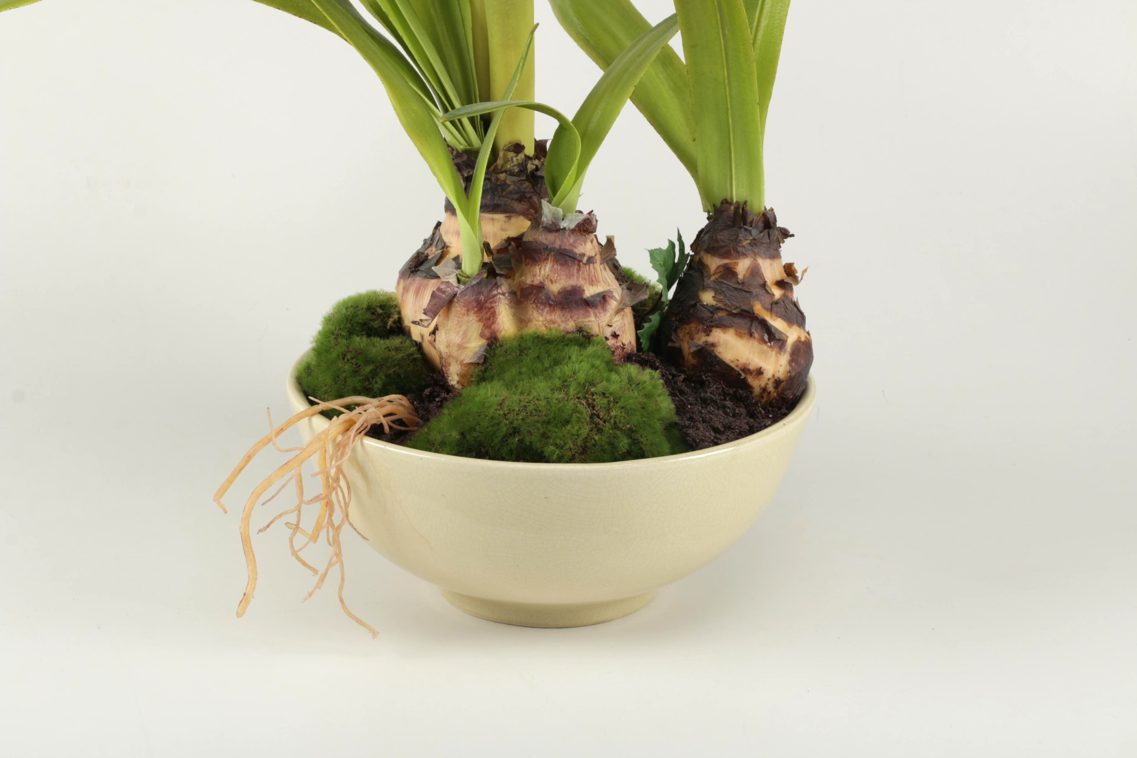 Faux Potted Amaryllis