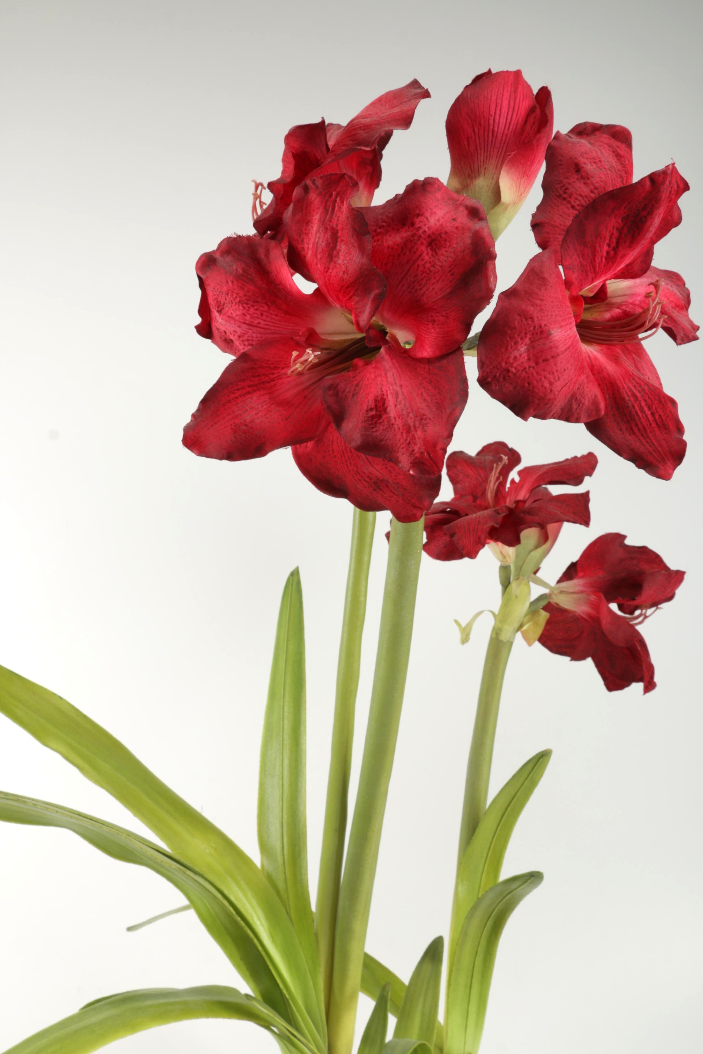 Faux Potted Amaryllis