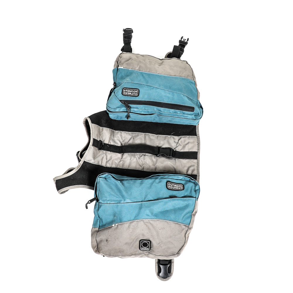 Pair of Outward Hound Dog Backpacks