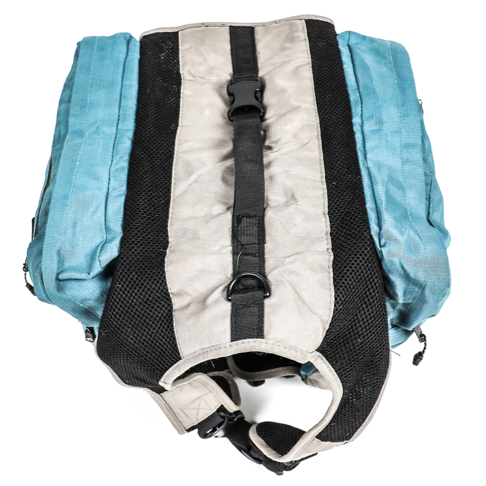 Pair of Outward Hound Dog Backpacks