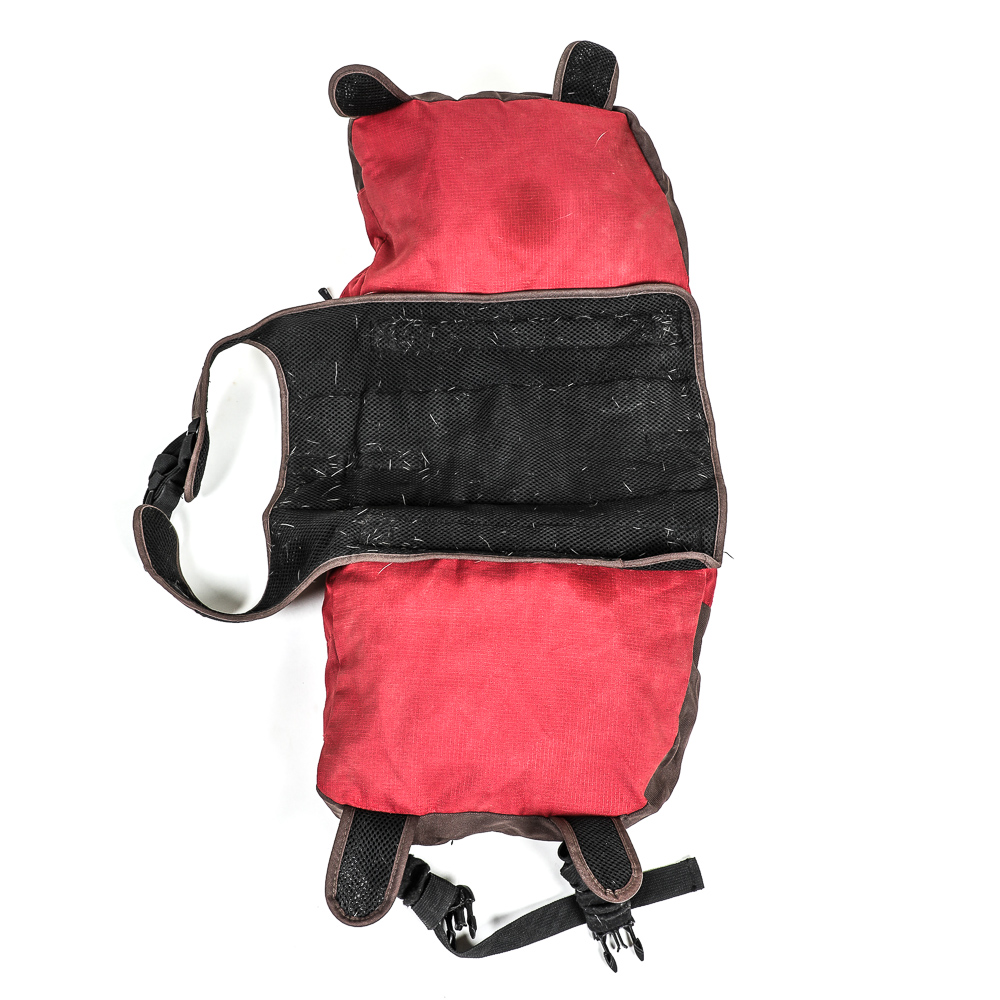 Pair of Outward Hound Dog Backpacks