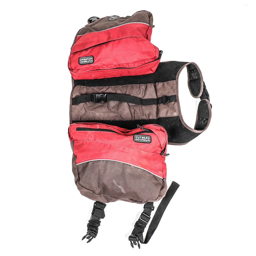 Pair of Outward Hound Dog Backpacks