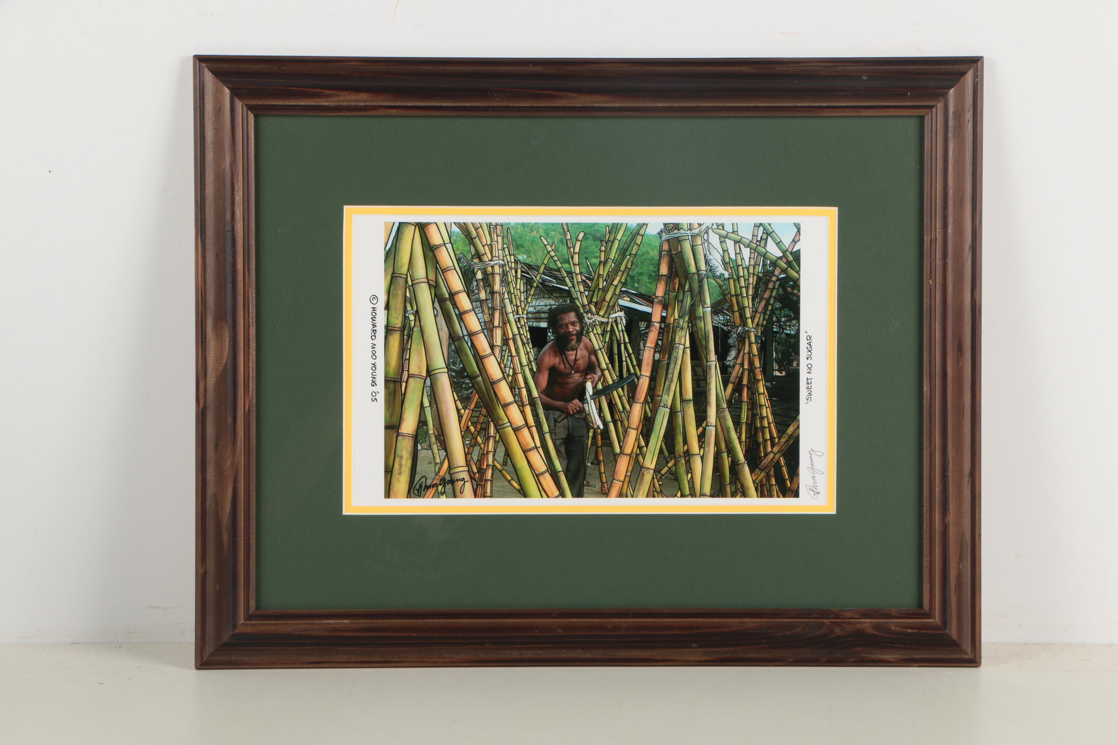 Collection of Howard Moo Young Color Photographs