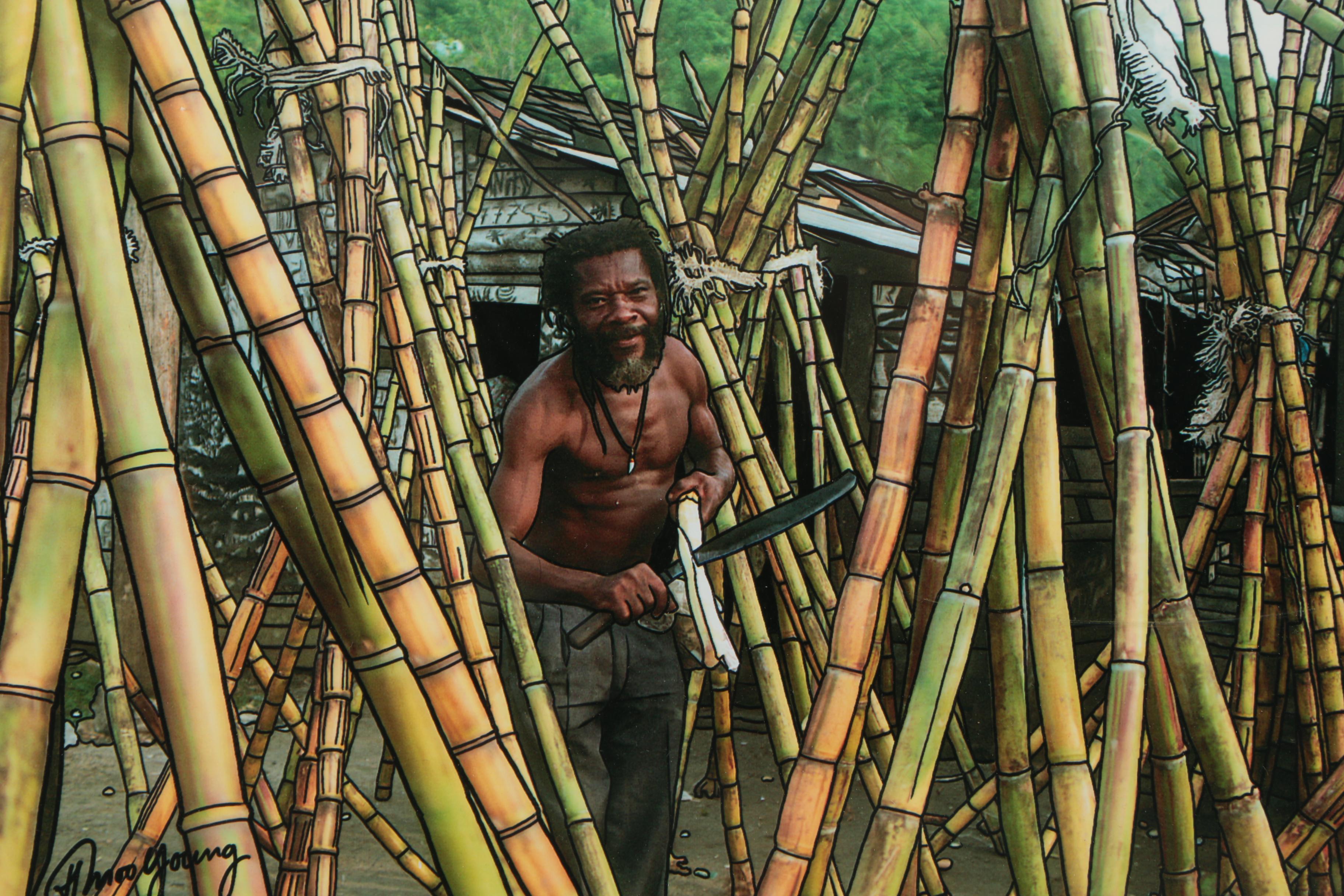 Collection of Howard Moo Young Color Photographs