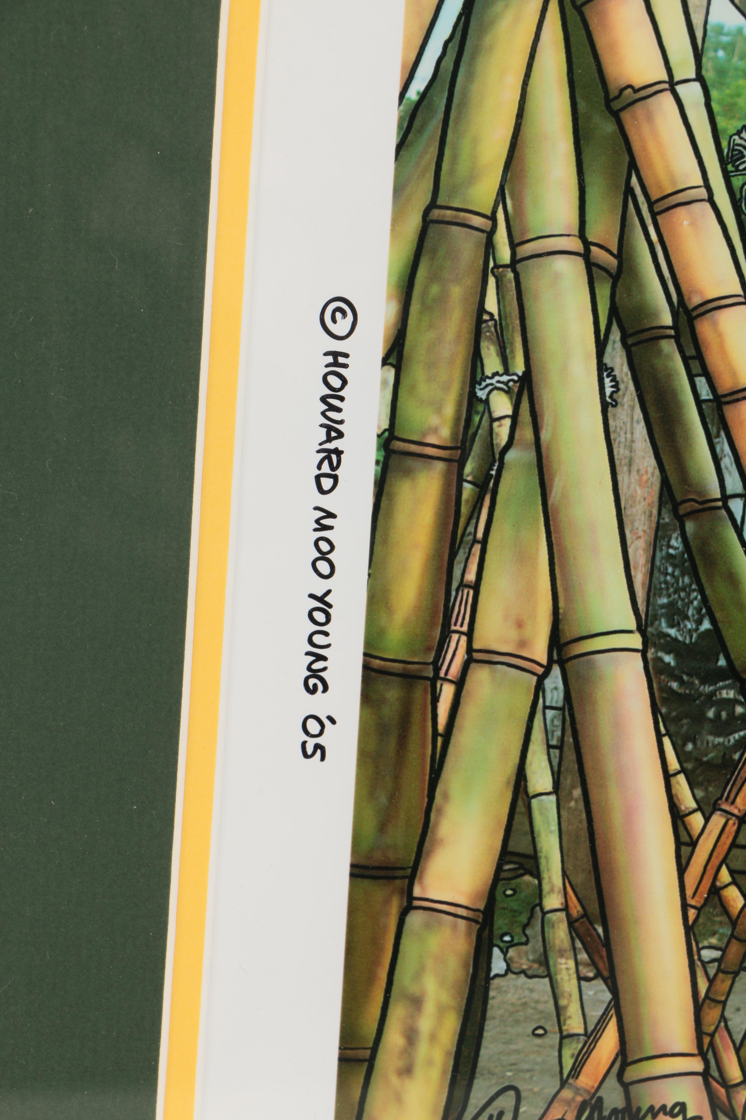 Collection of Howard Moo Young Color Photographs