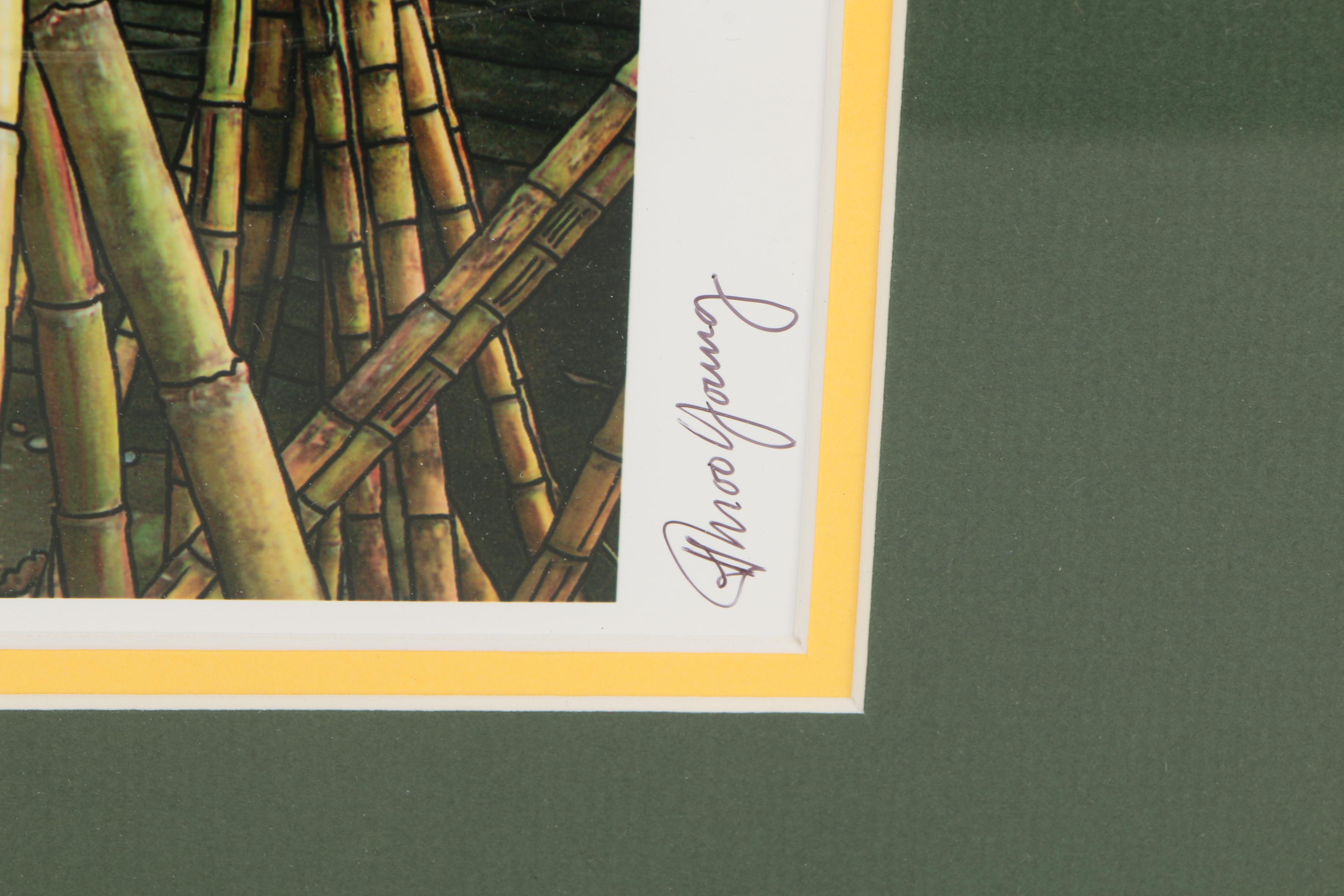 Collection of Howard Moo Young Color Photographs