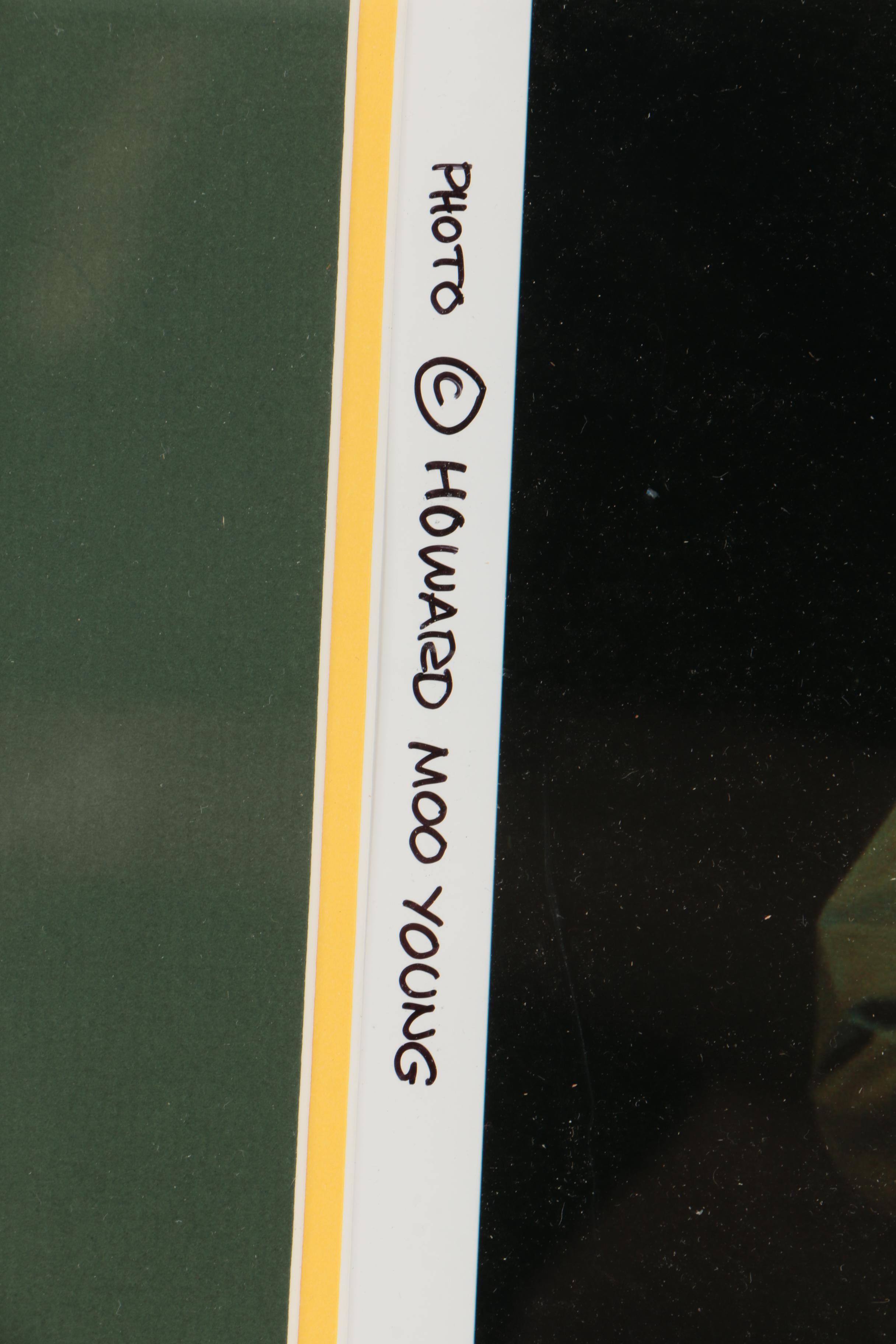 Collection of Howard Moo Young Color Photographs