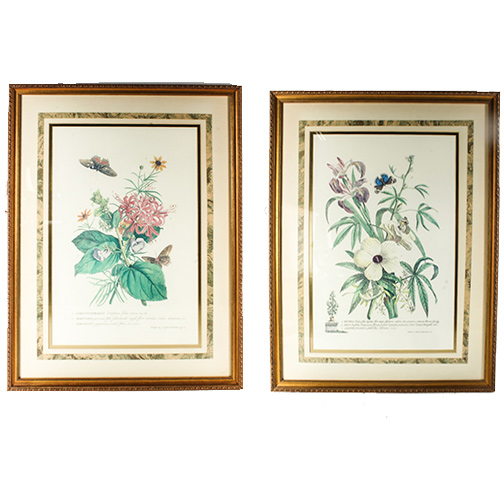Pair of Lithographs on Paper of Botanical Prints
