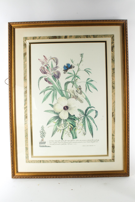 Pair of Lithographs on Paper of Botanical Prints