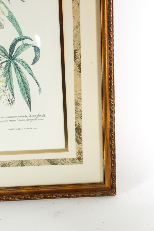 Pair of Lithographs on Paper of Botanical Prints