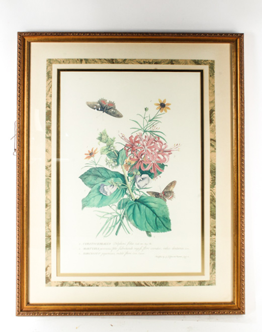 Pair of Lithographs on Paper of Botanical Prints