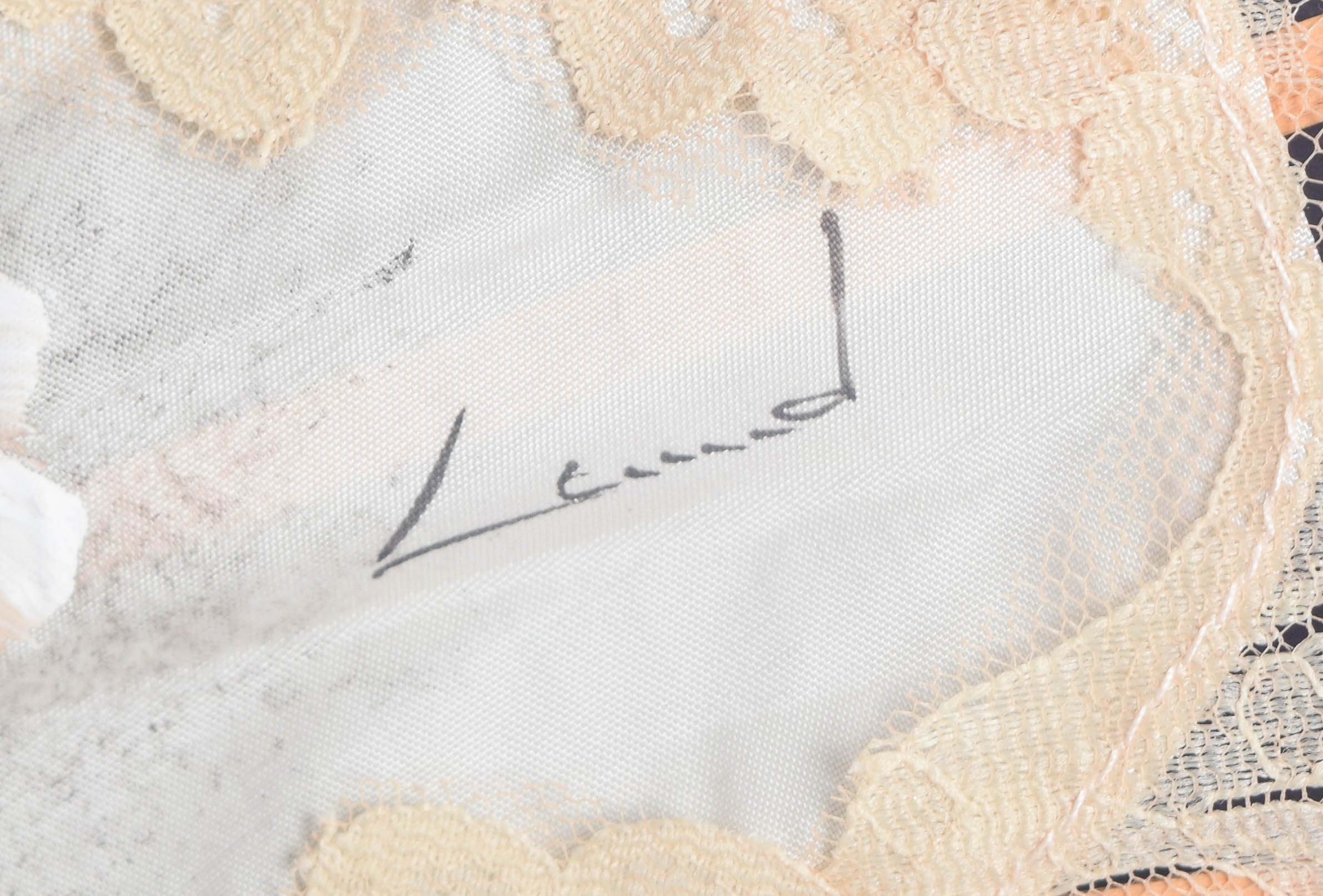 Vintage Hand Painted Framed Lace Fan