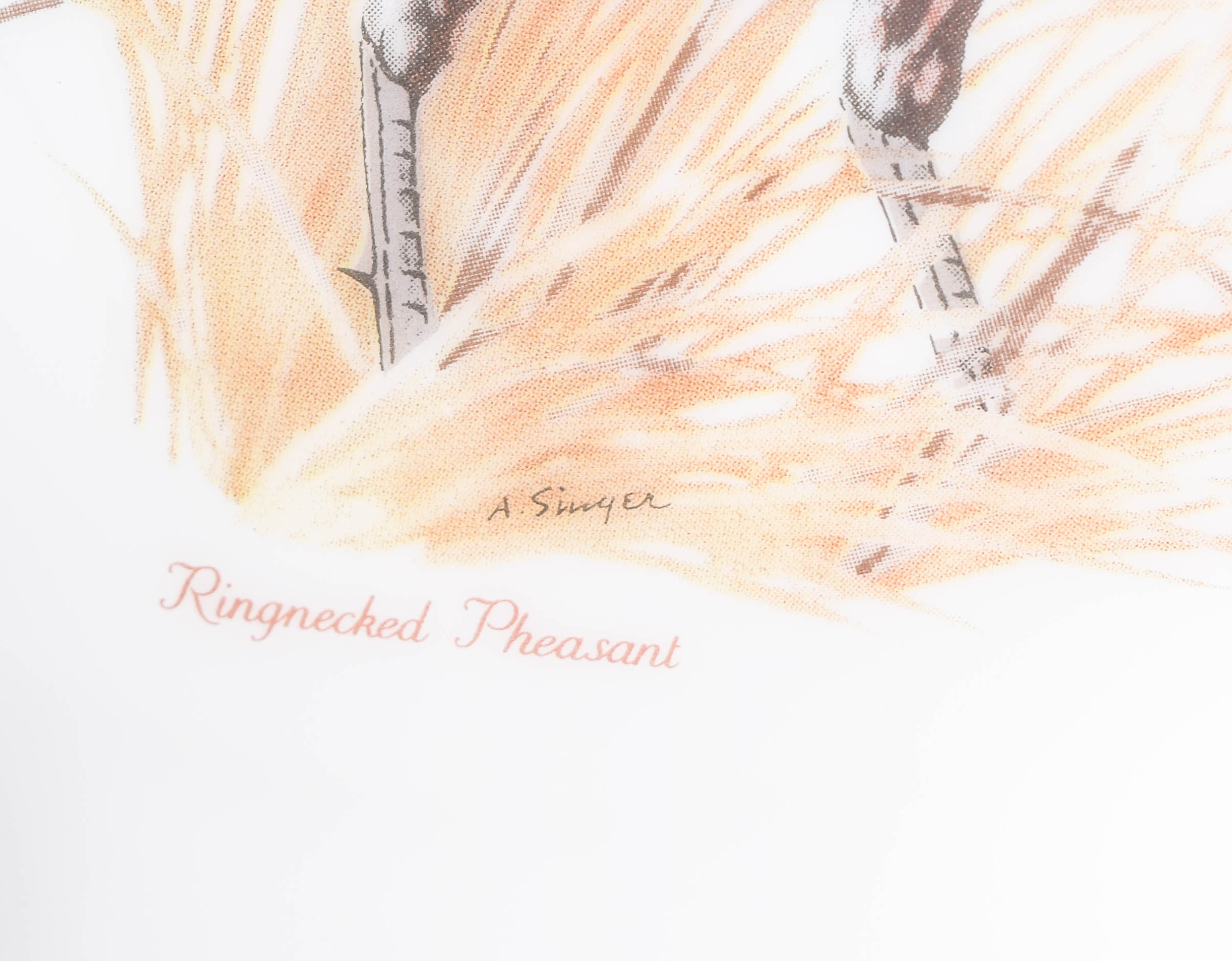 Collection of Vintage Decanters