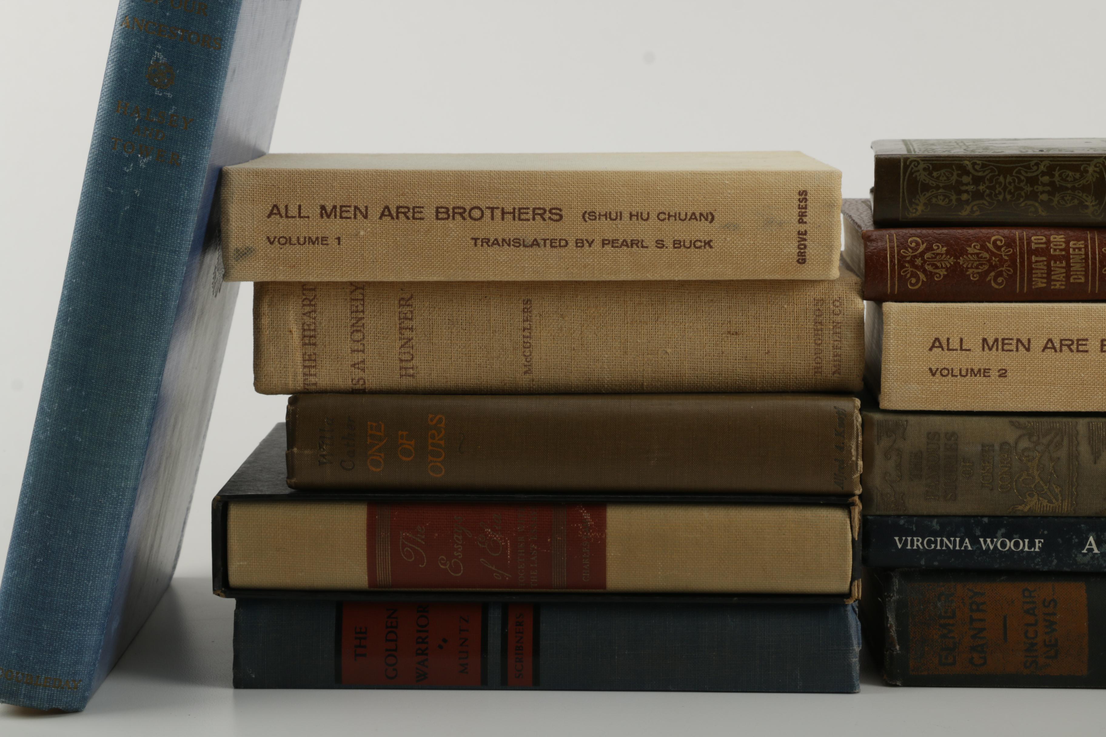 Selection of Assorted Novels