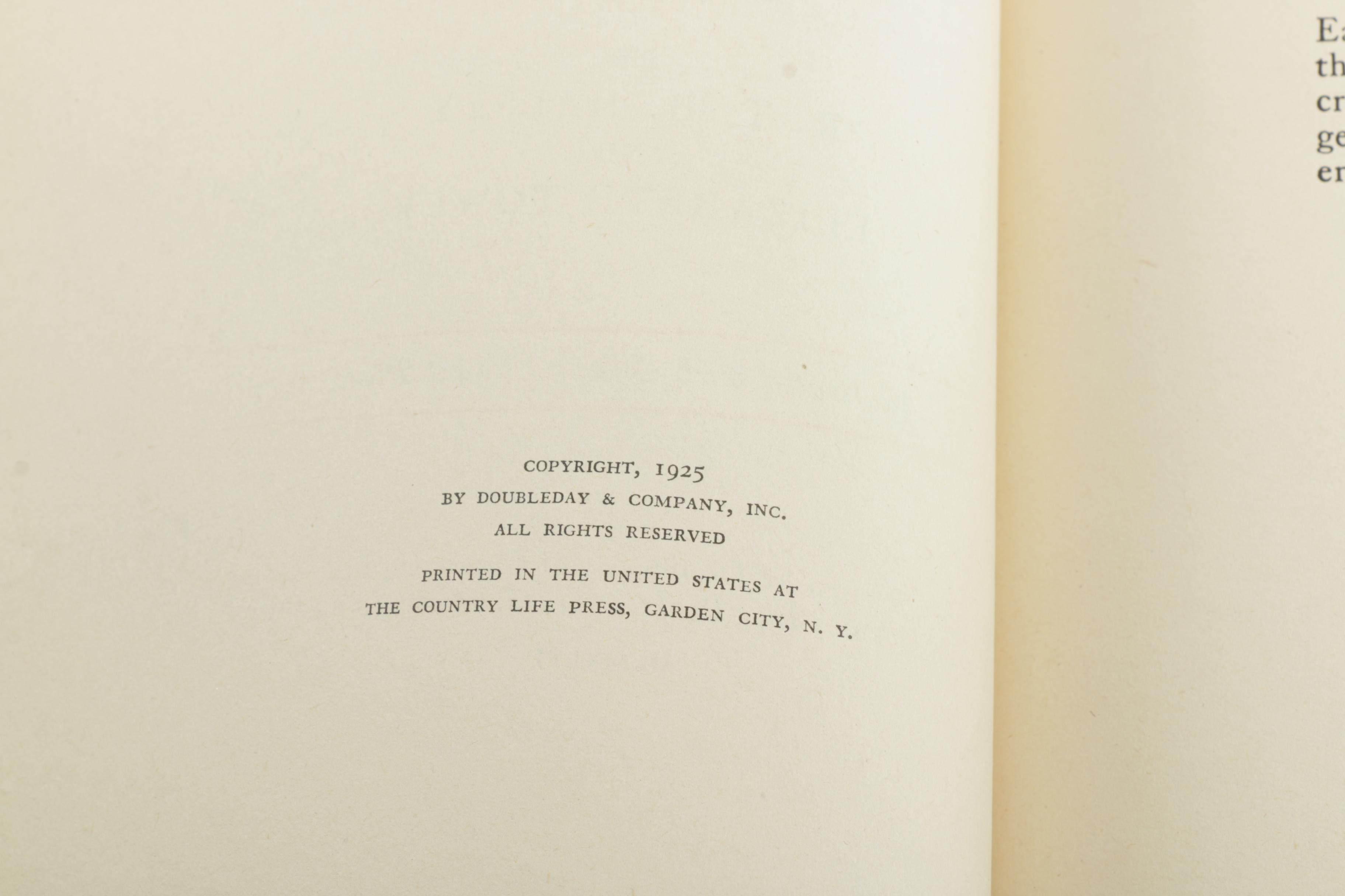 Selection of Assorted Novels