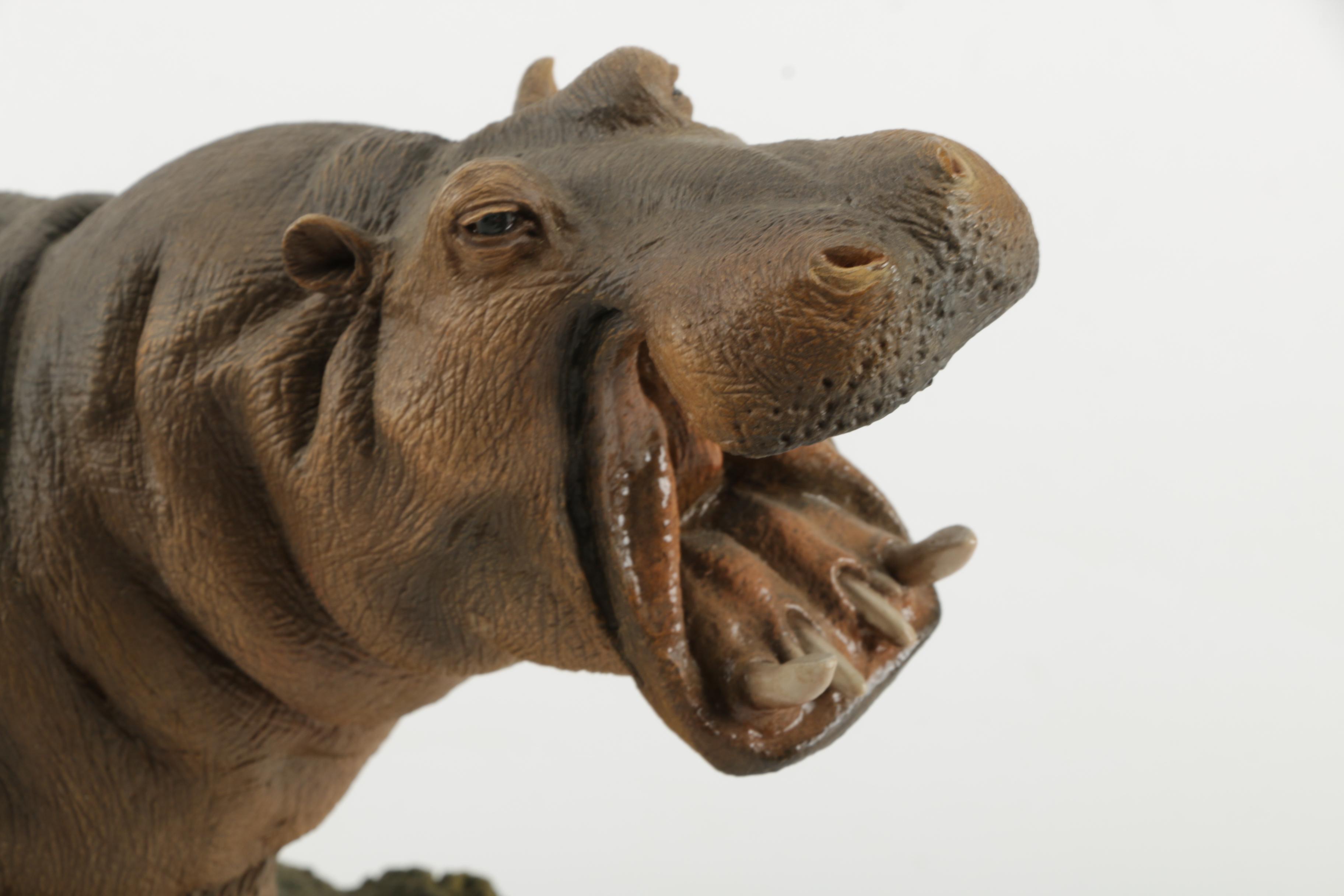 Carlos Estevez Creations "Hippo" Decor