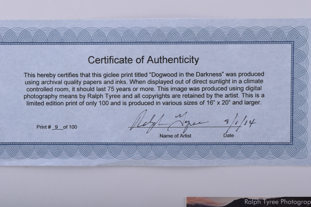 Ralph Tyree Giclee "Dogwood in Darkness"