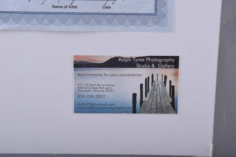 Ralph Tyree Giclee "Dogwood in Darkness"