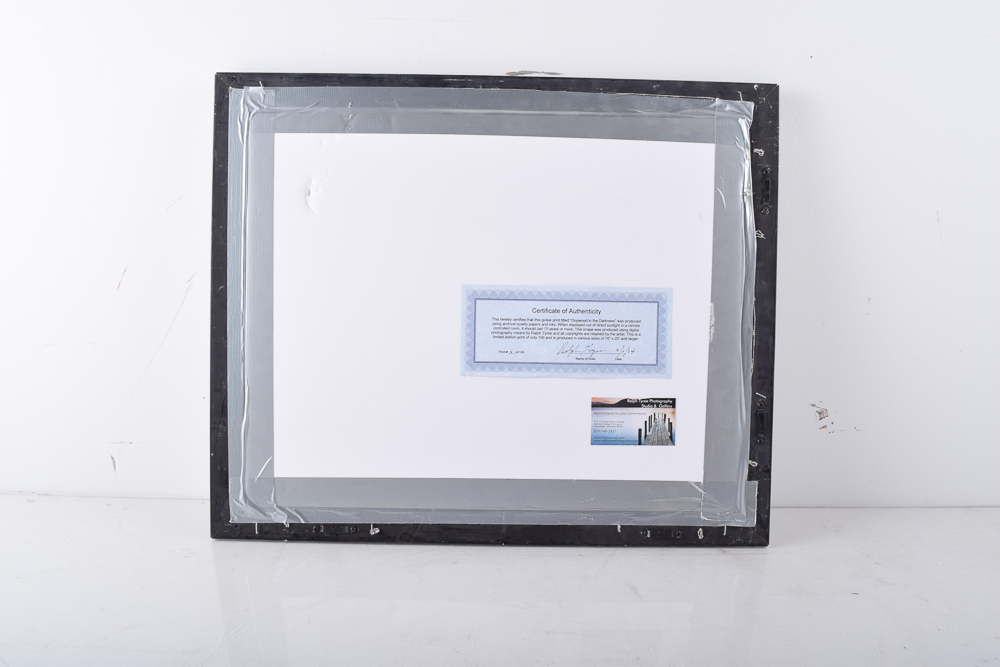 Ralph Tyree Giclee "Dogwood in Darkness"