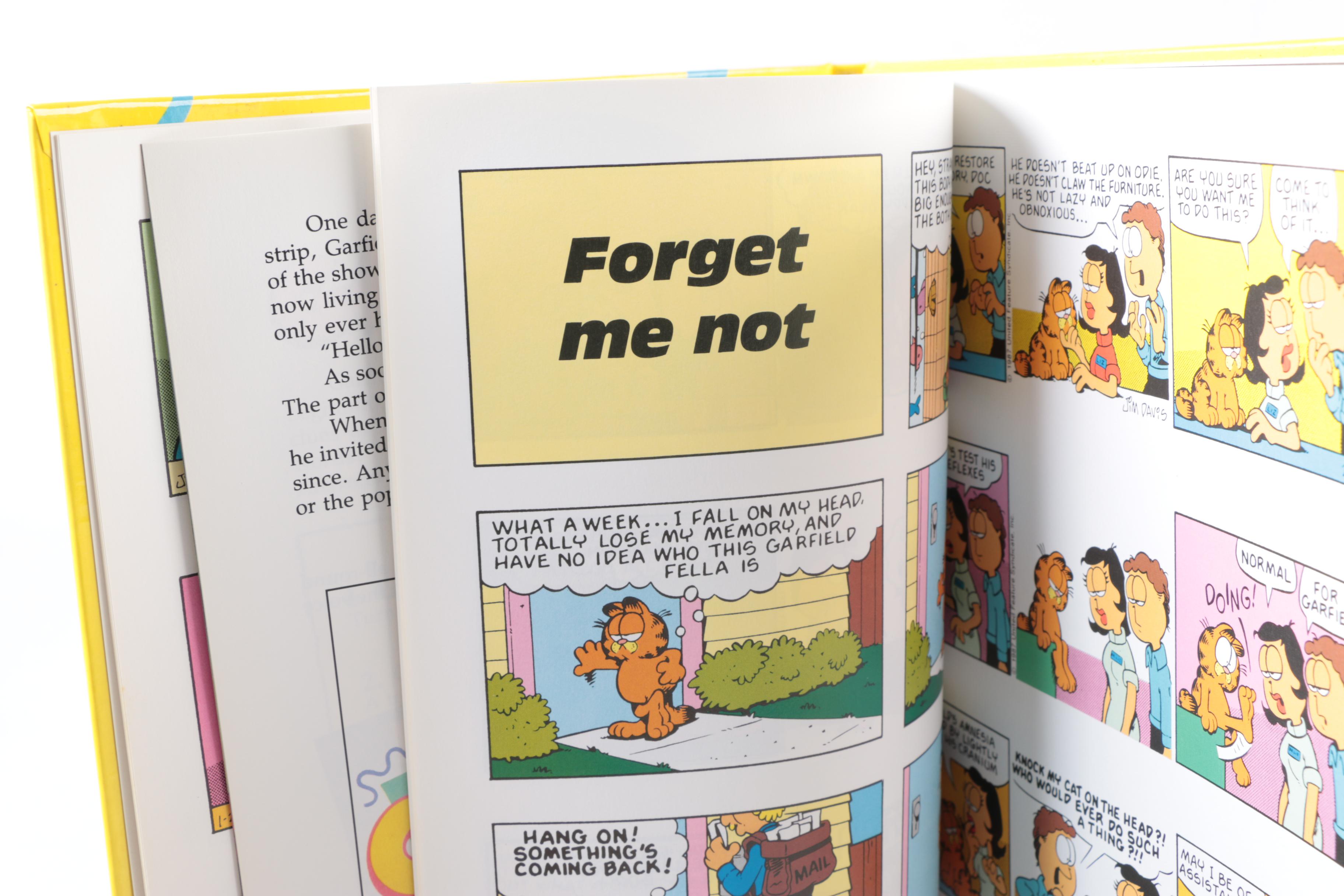 Assortment of Garfield Memorabilia