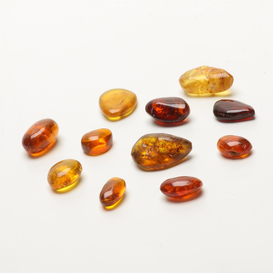 Polished Amber Pieces