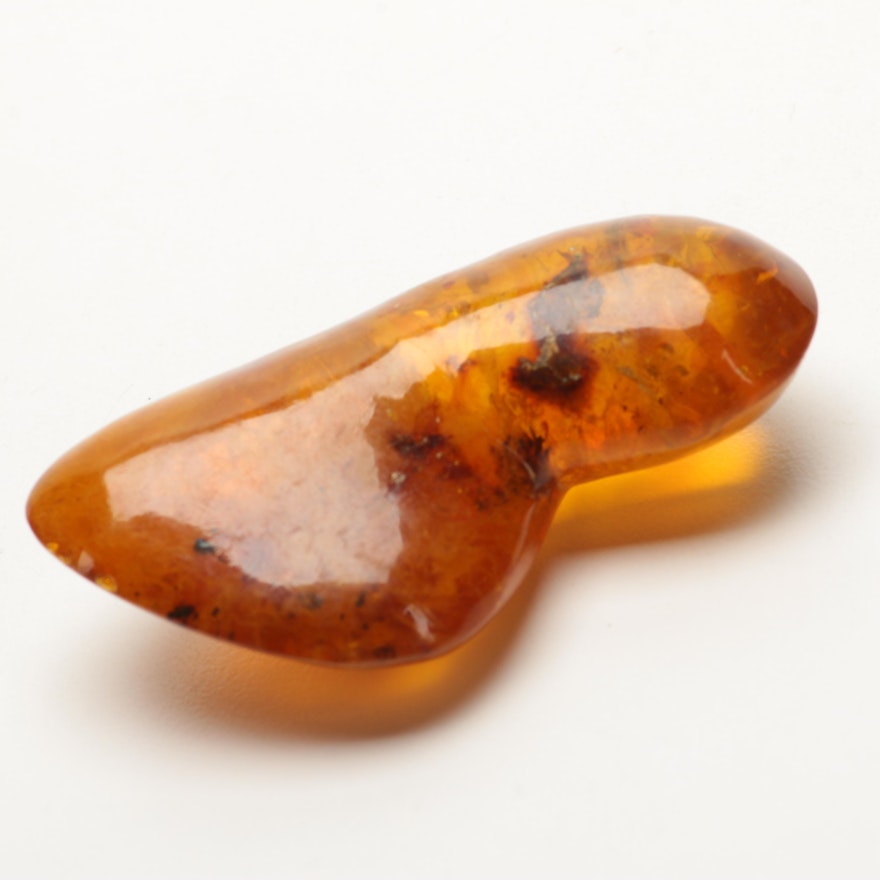 Amber Specimen