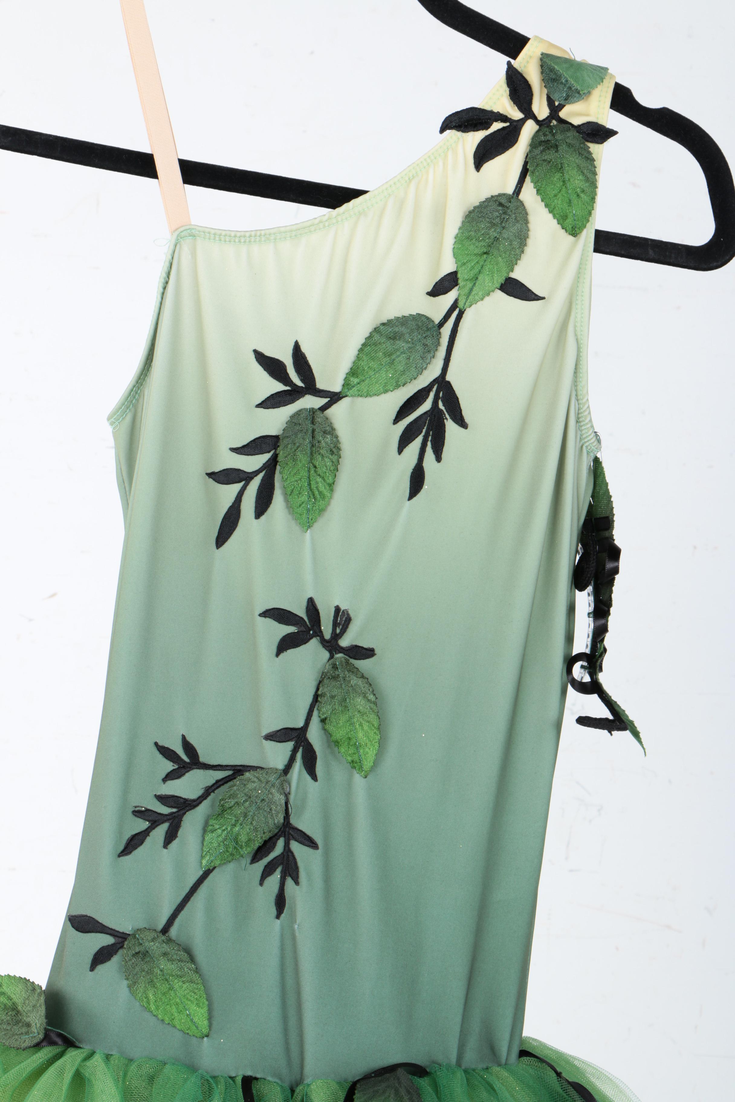 Collection of Five Dance Costumes