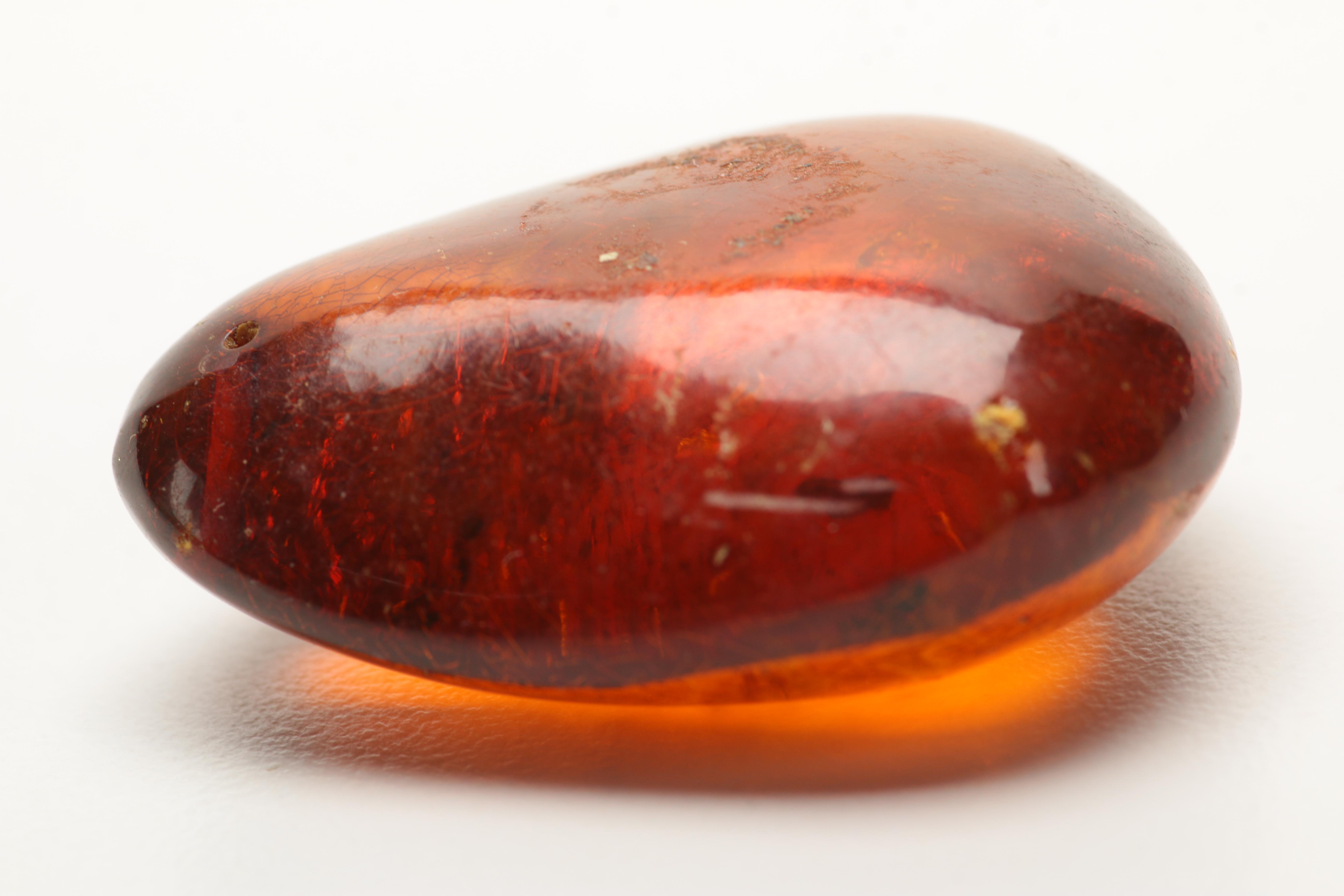 Amber Specimens