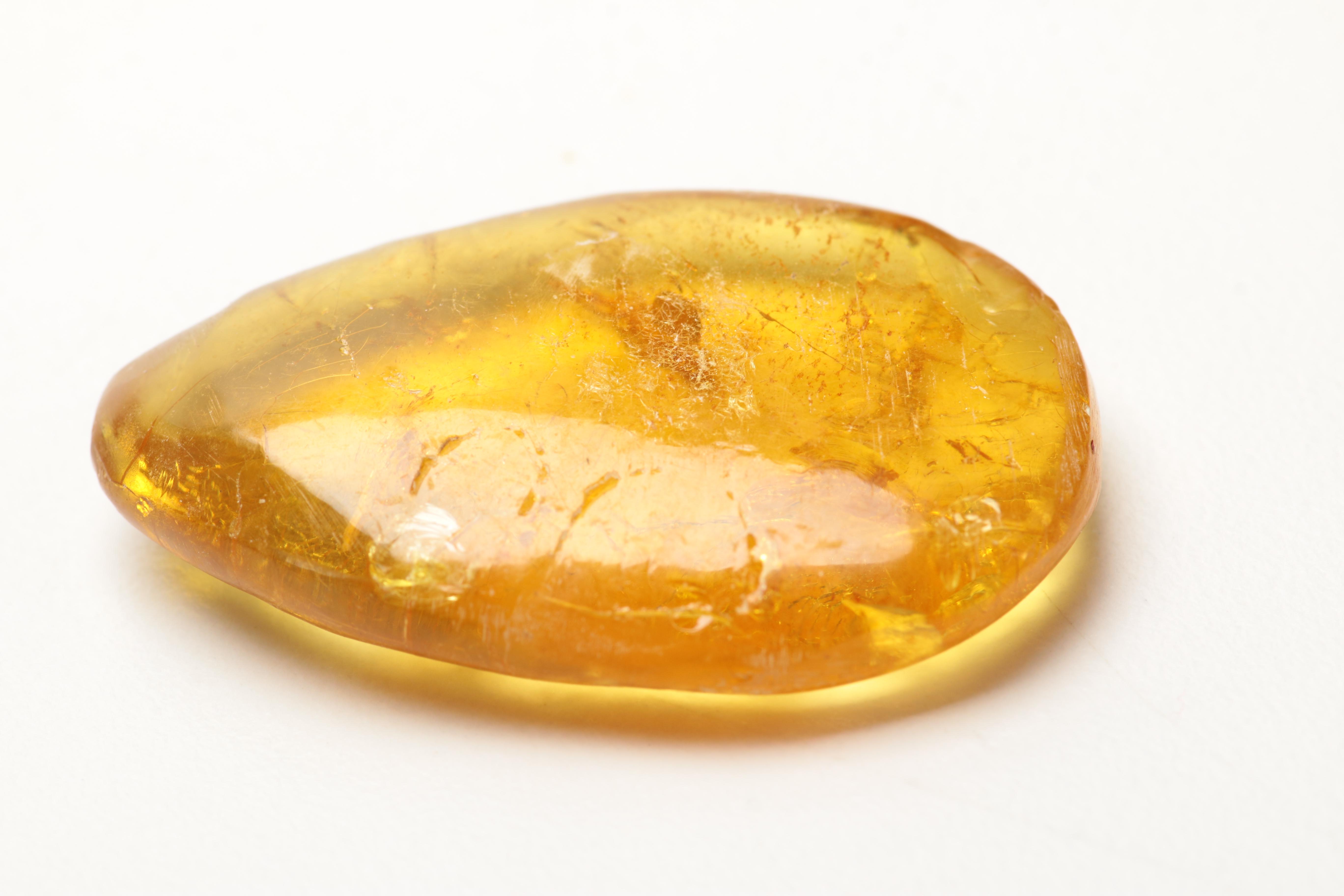 Amber Specimens