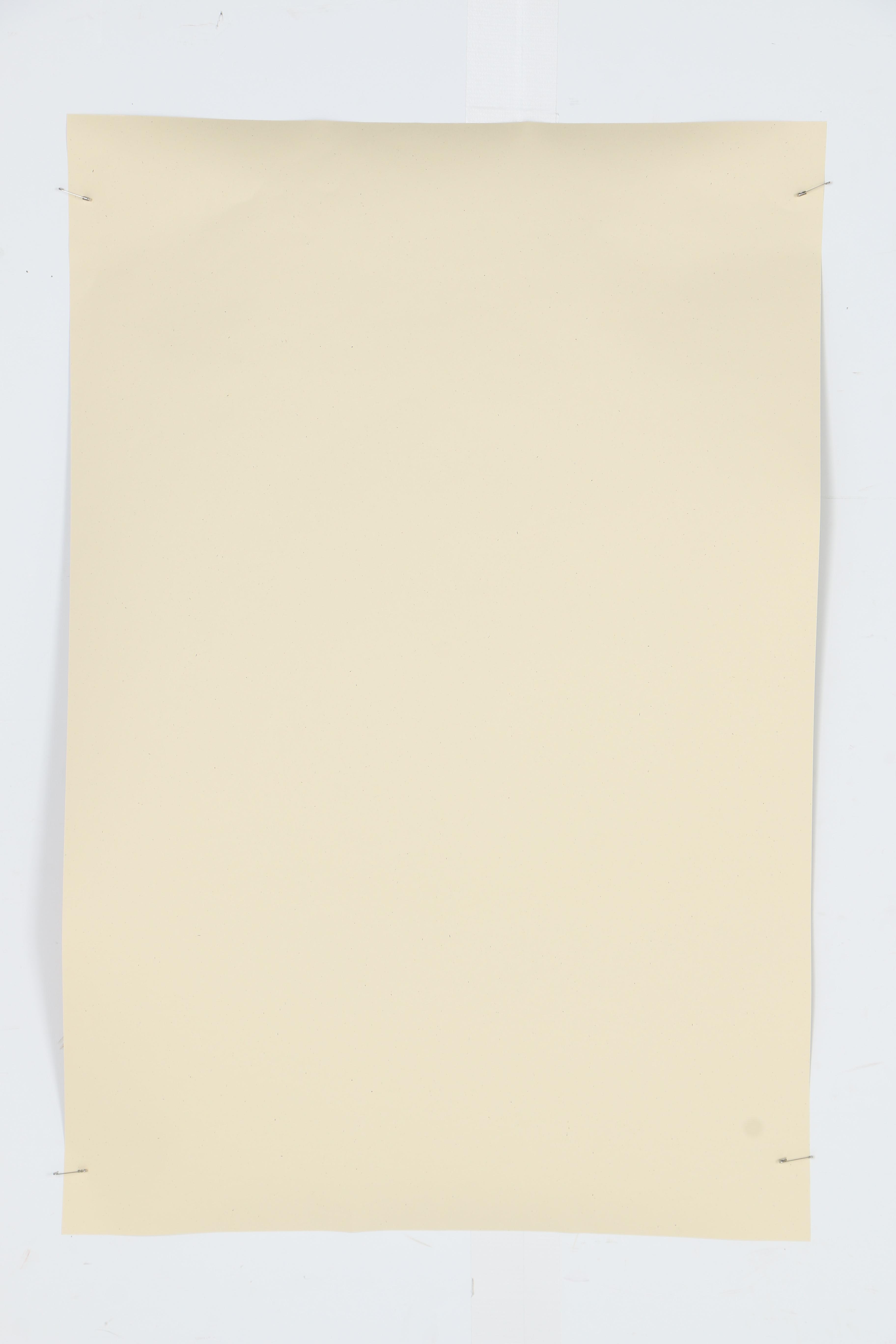 Shepard Fairey Open Edition Offset Poster "Mujer Fatale"