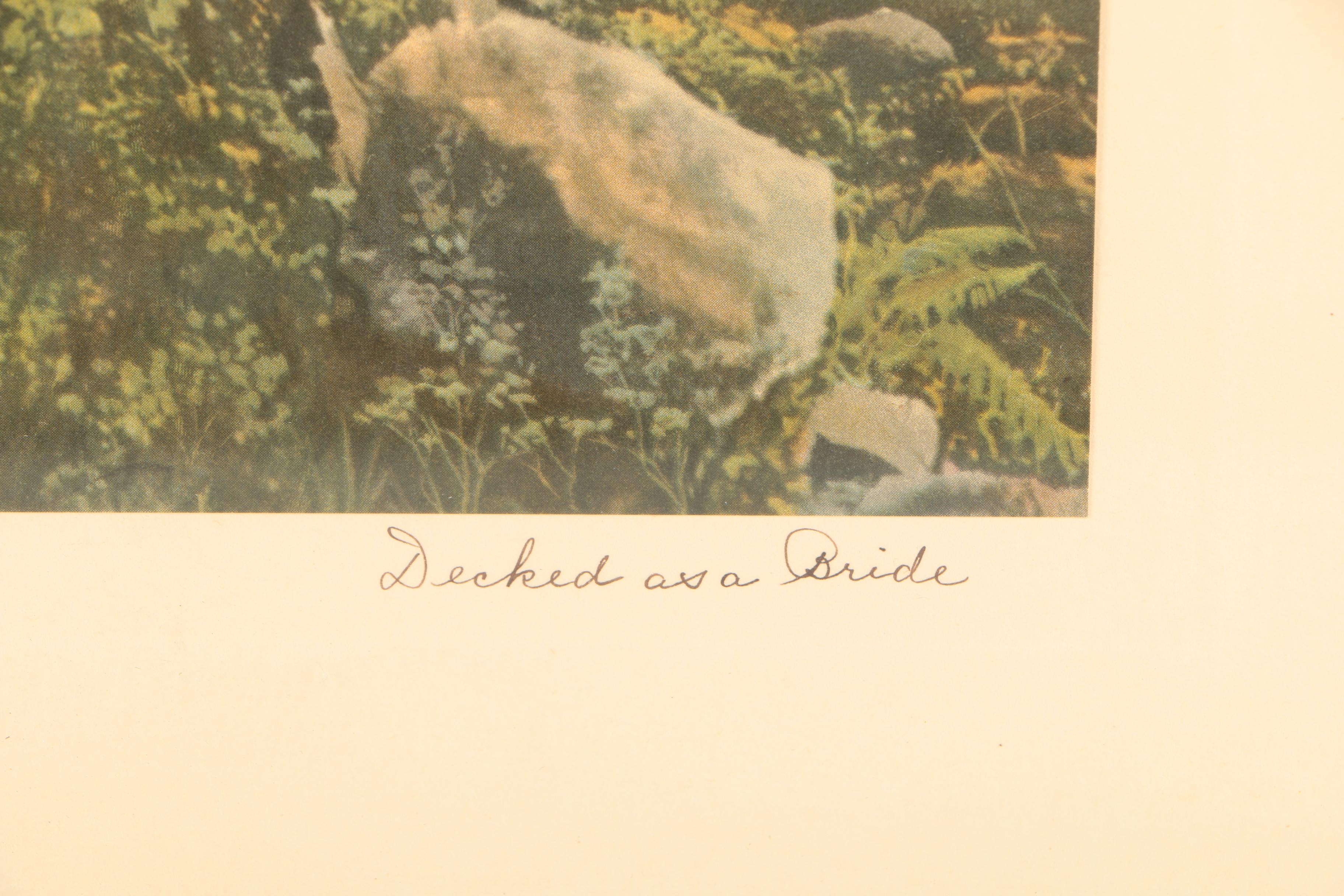 Pair of Collotype Reproductions on Paper After Wallace Nutting Photographs