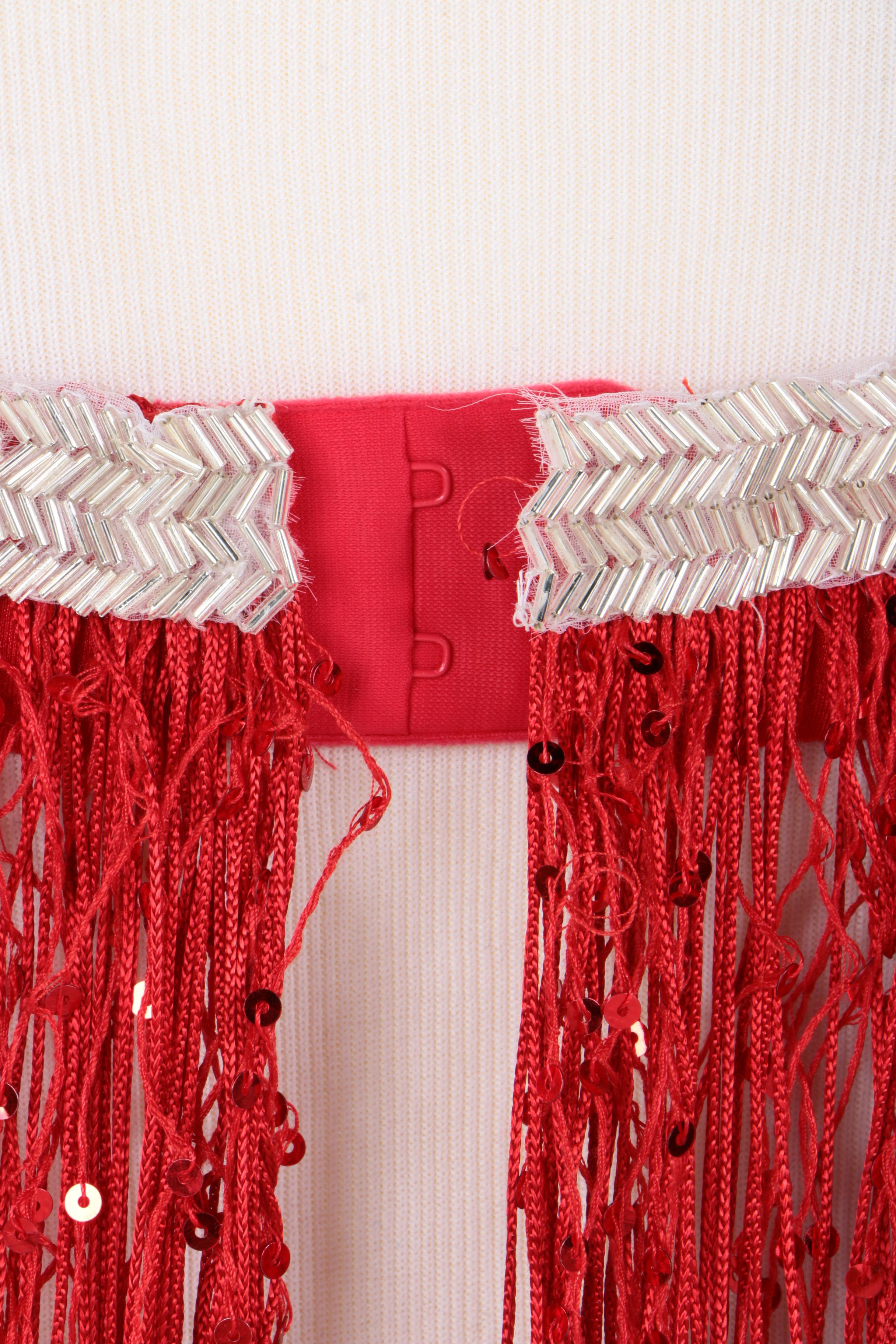 Collection of Four Dance Costumes