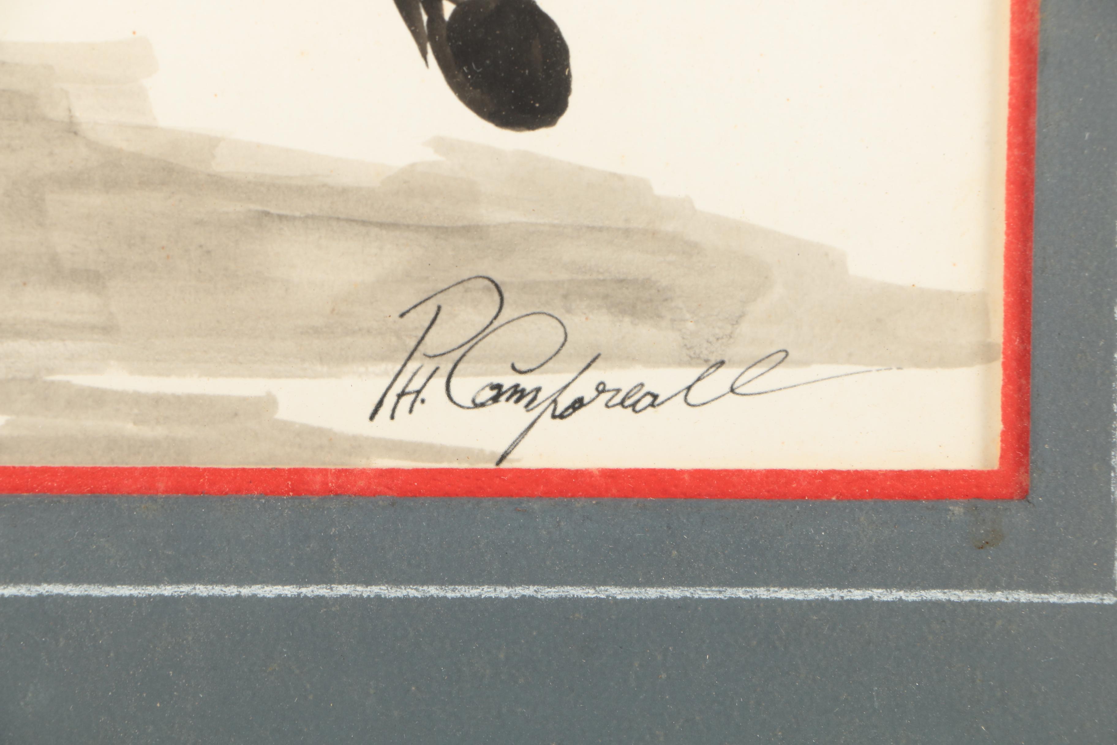 Ink Wash Drawing of Matador