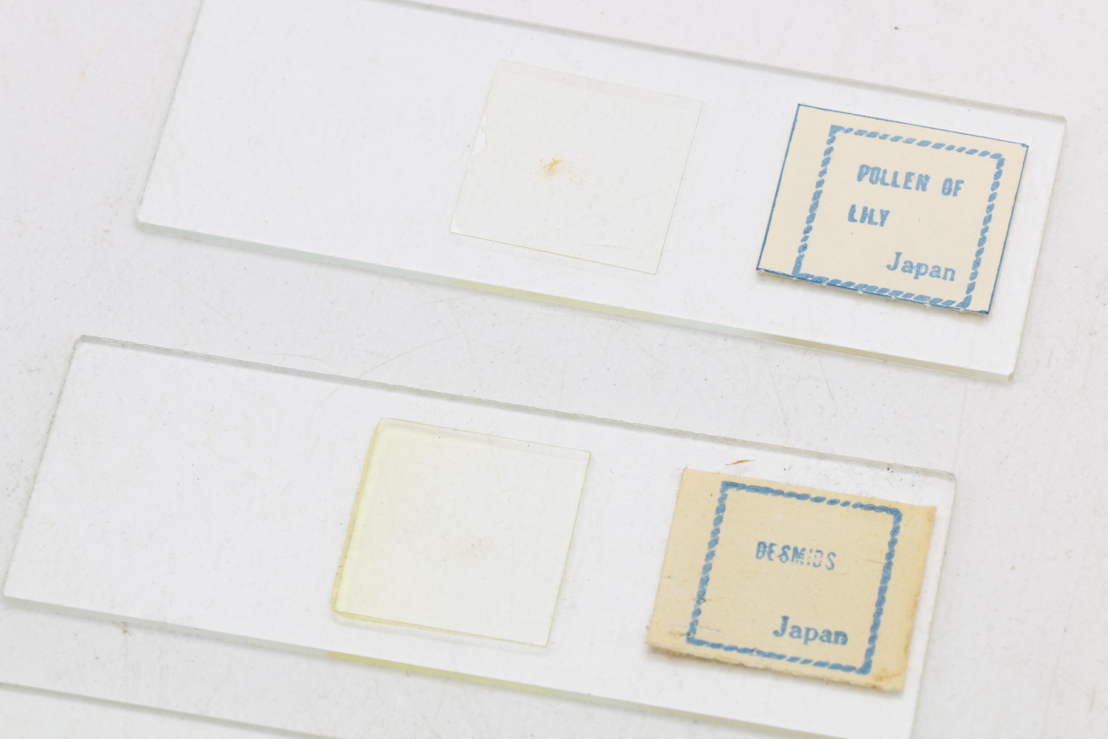 Vintage Metasco Microscope Kit