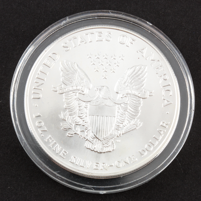 1999 and 2000 Colorized American Eagle $1 Silver Coins