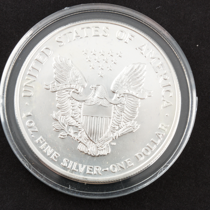 1999 and 2000 Colorized American Eagle $1 Silver Coins