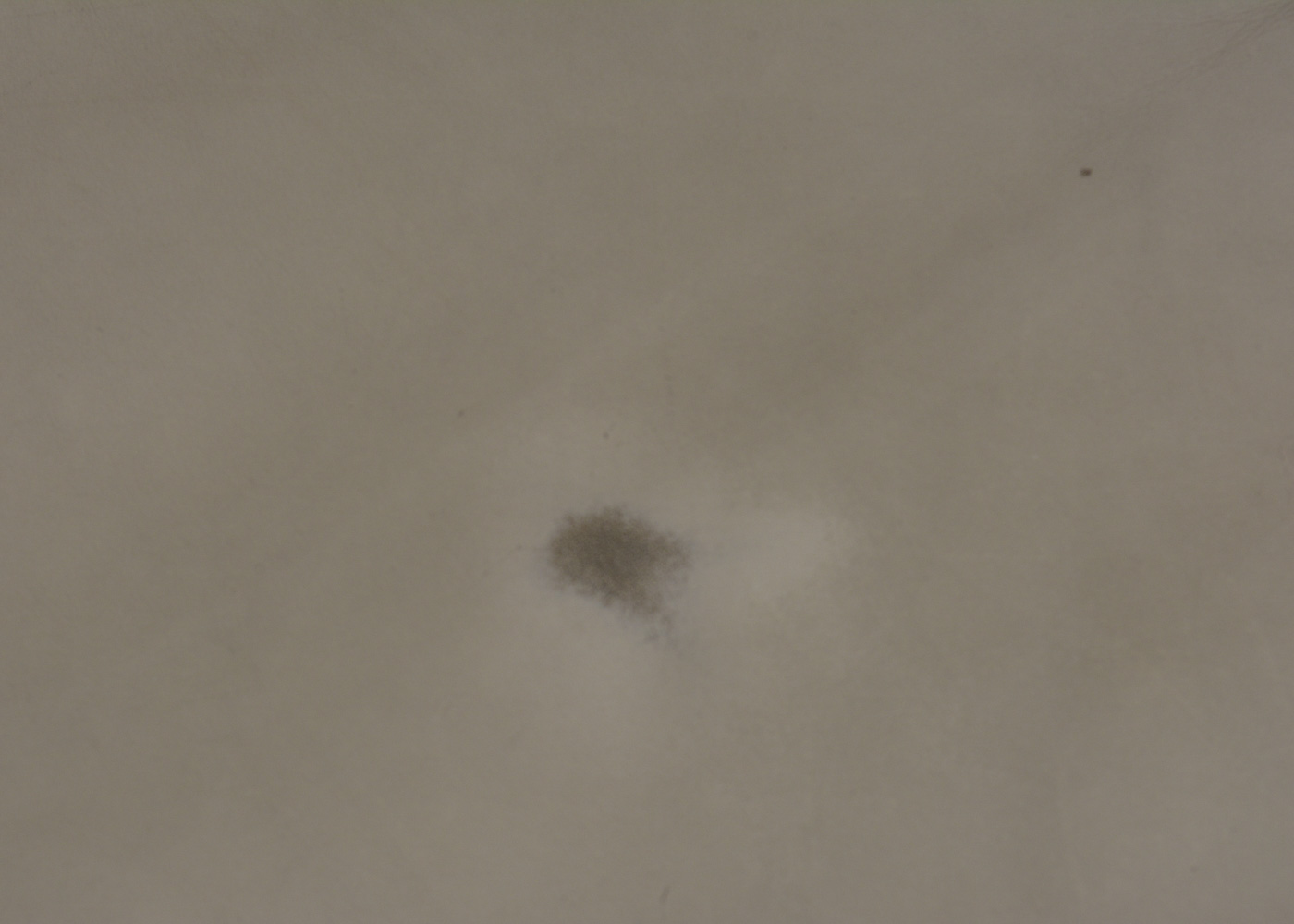 Beige Leather Sectional Sleeper Sofa by Lackawanna