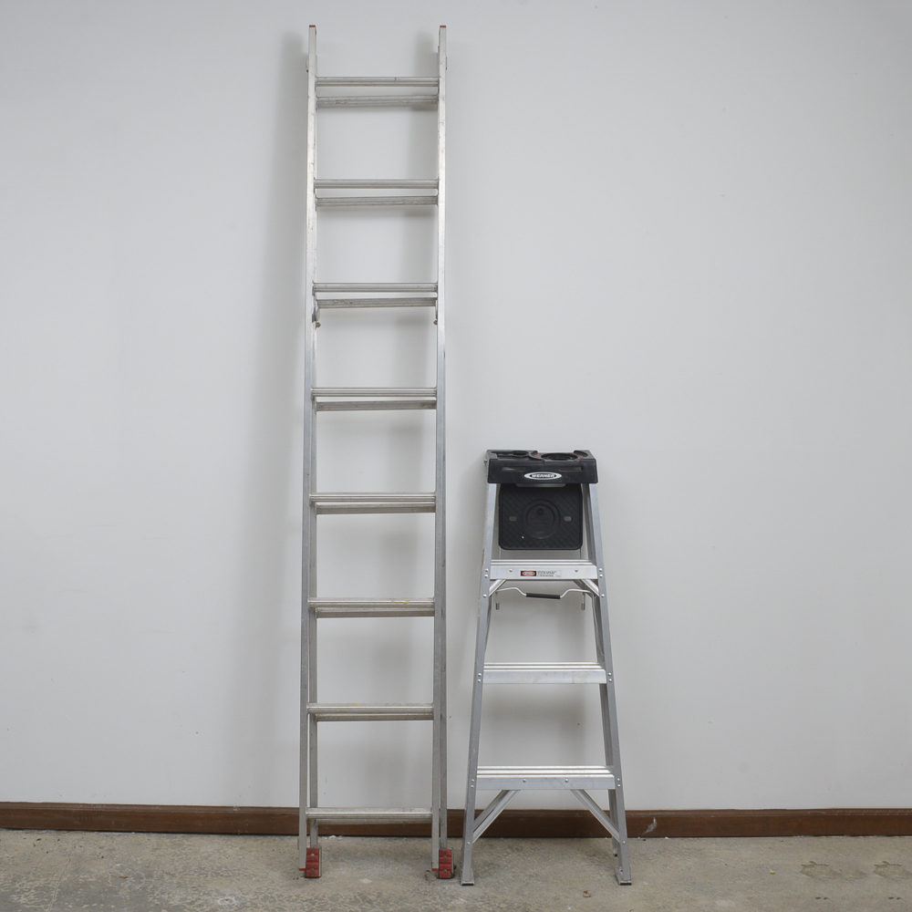 Pair of Werner Ladders