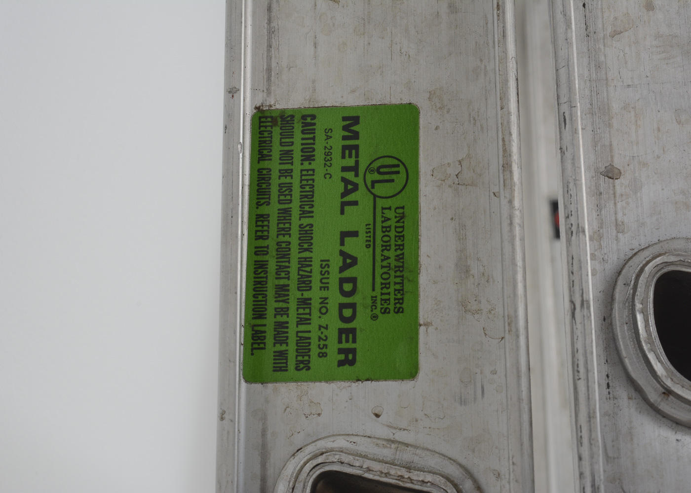 Pair of Werner Ladders