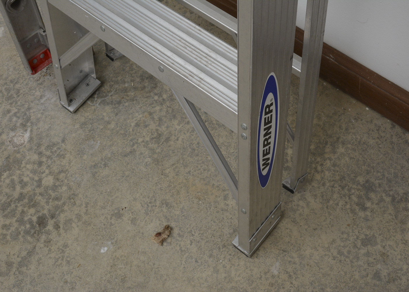 Pair of Werner Ladders