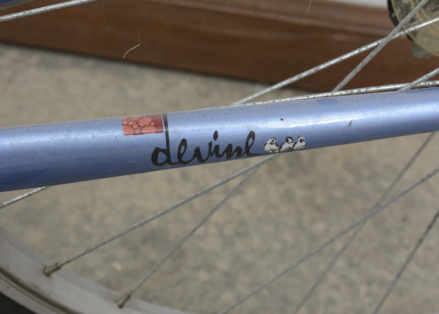 Women's Diamondback "Devine" Bicycle and Accessories