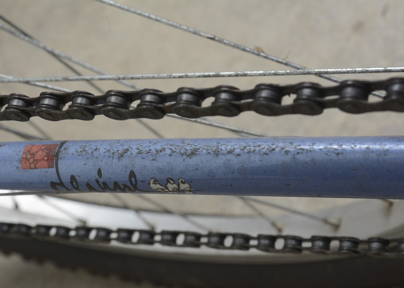 Women's Diamondback "Devine" Bicycle and Accessories