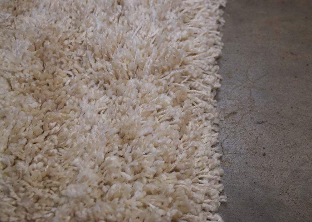 Thomasville "Allure" Shag Area Rug EBTH